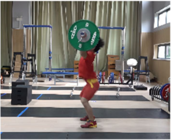 Life 14 01086 i010 Life 14 01086 i010