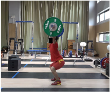 Life 14 01086 i012 Life 14 01086 i012