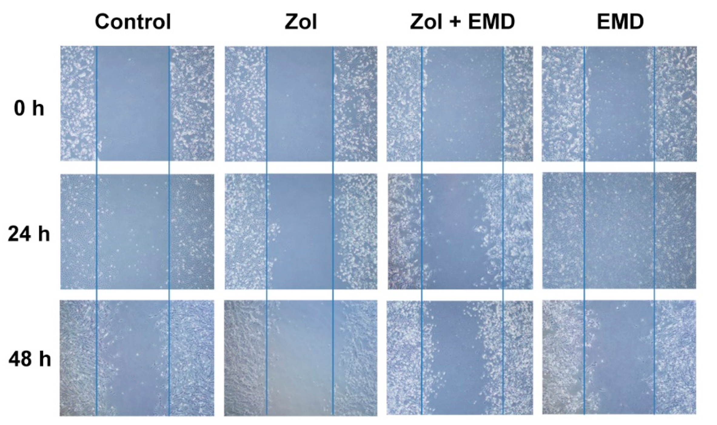 Life 14 01088 g004 Life 14 01088 g004