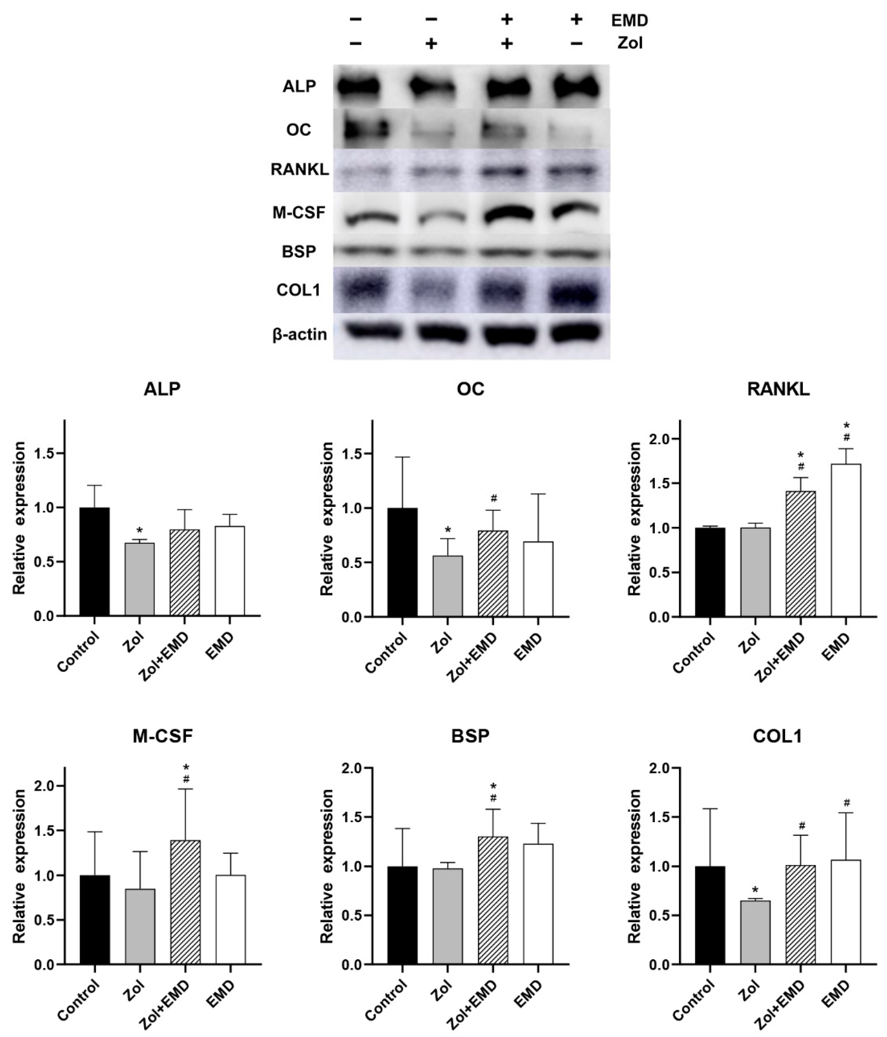 Life 14 01088 g008 Life 14 01088 g008