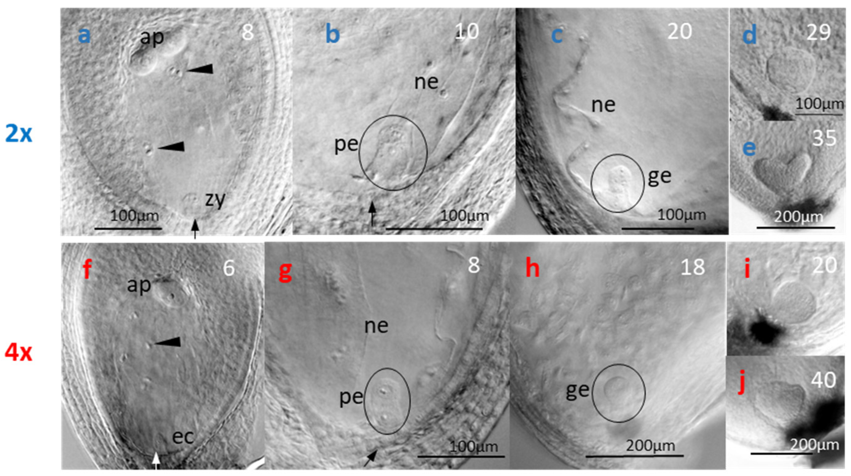 Life 14 01202 g005 Life 14 01202 g005