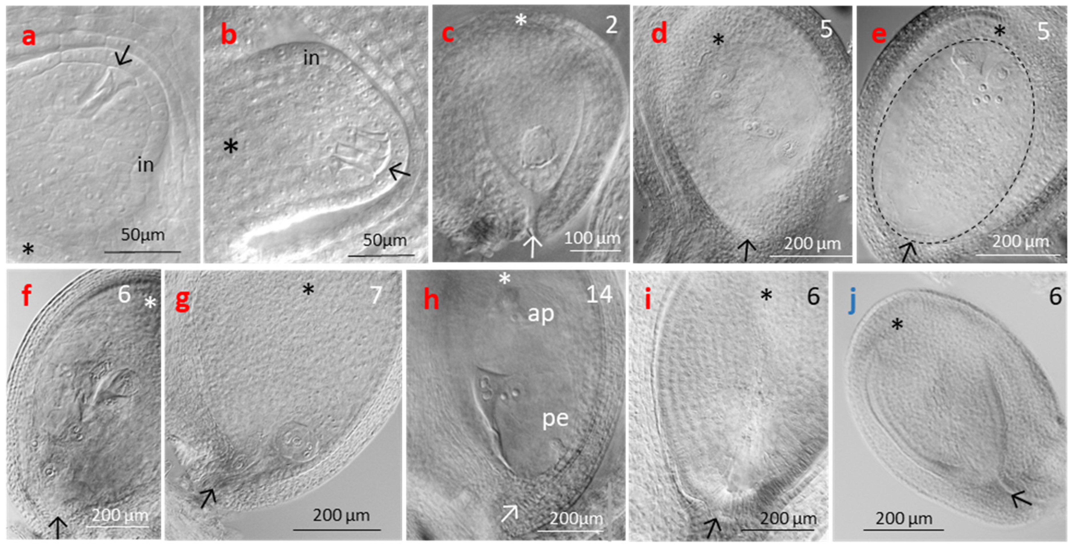 Life 14 01202 g011 Life 14 01202 g011