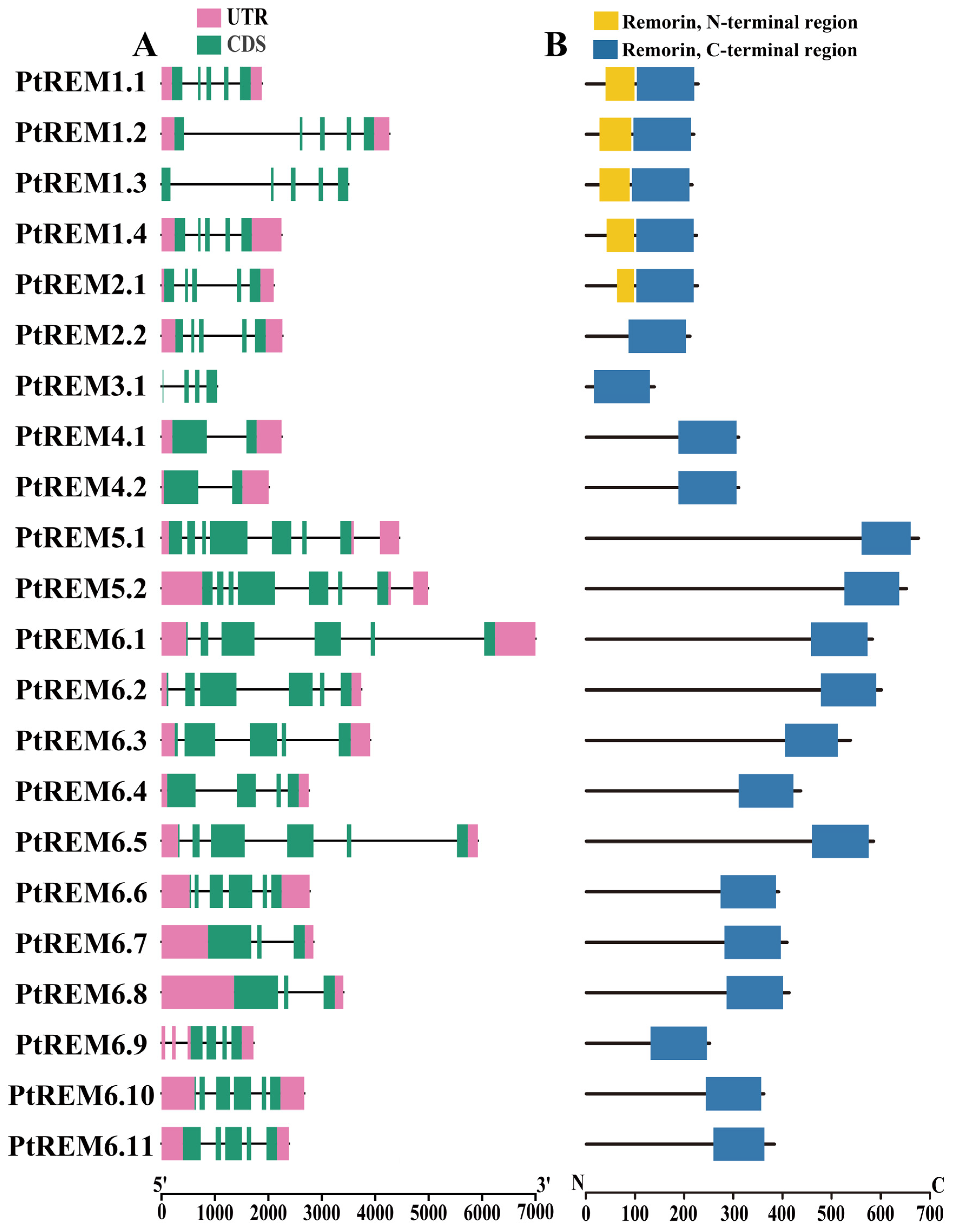 Life 14 01239 g001 Life 14 01239 g001