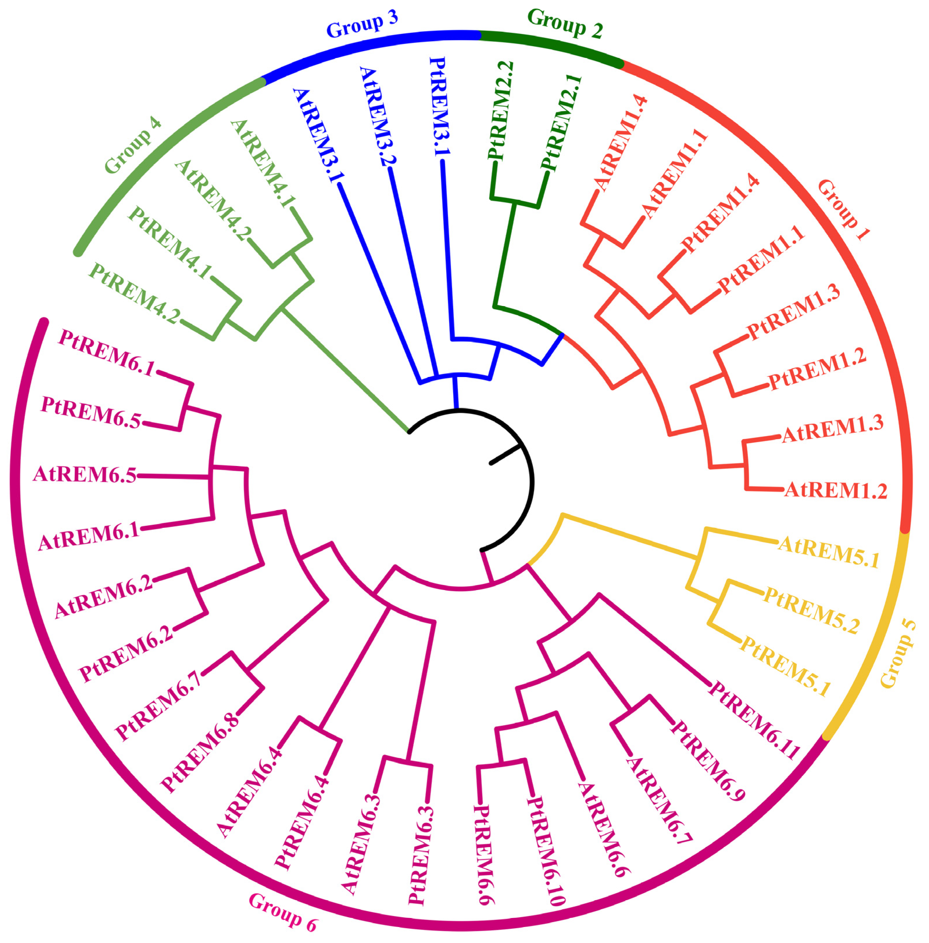 Life 14 01239 g002 Life 14 01239 g002