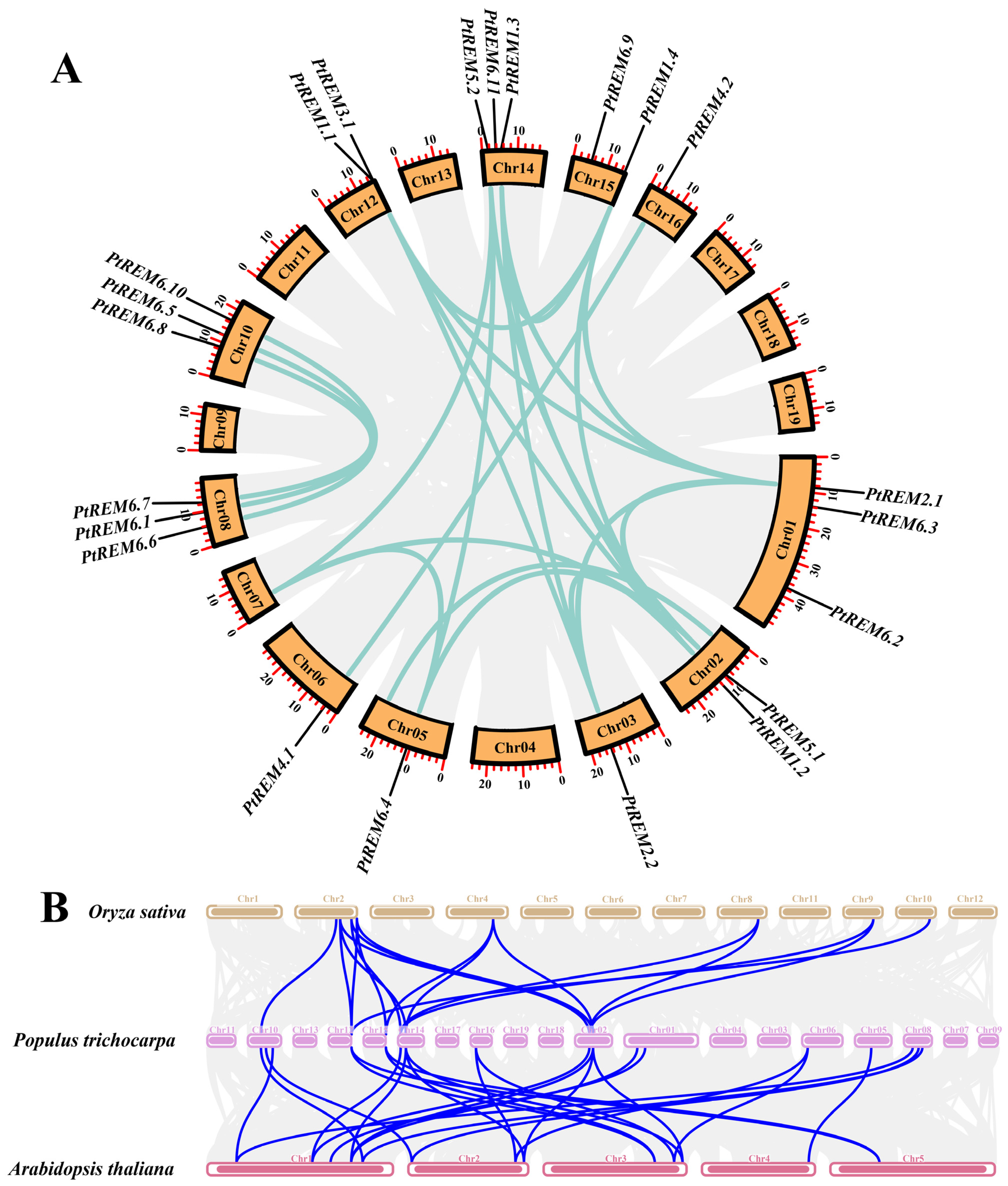 Life 14 01239 g003 Life 14 01239 g003
