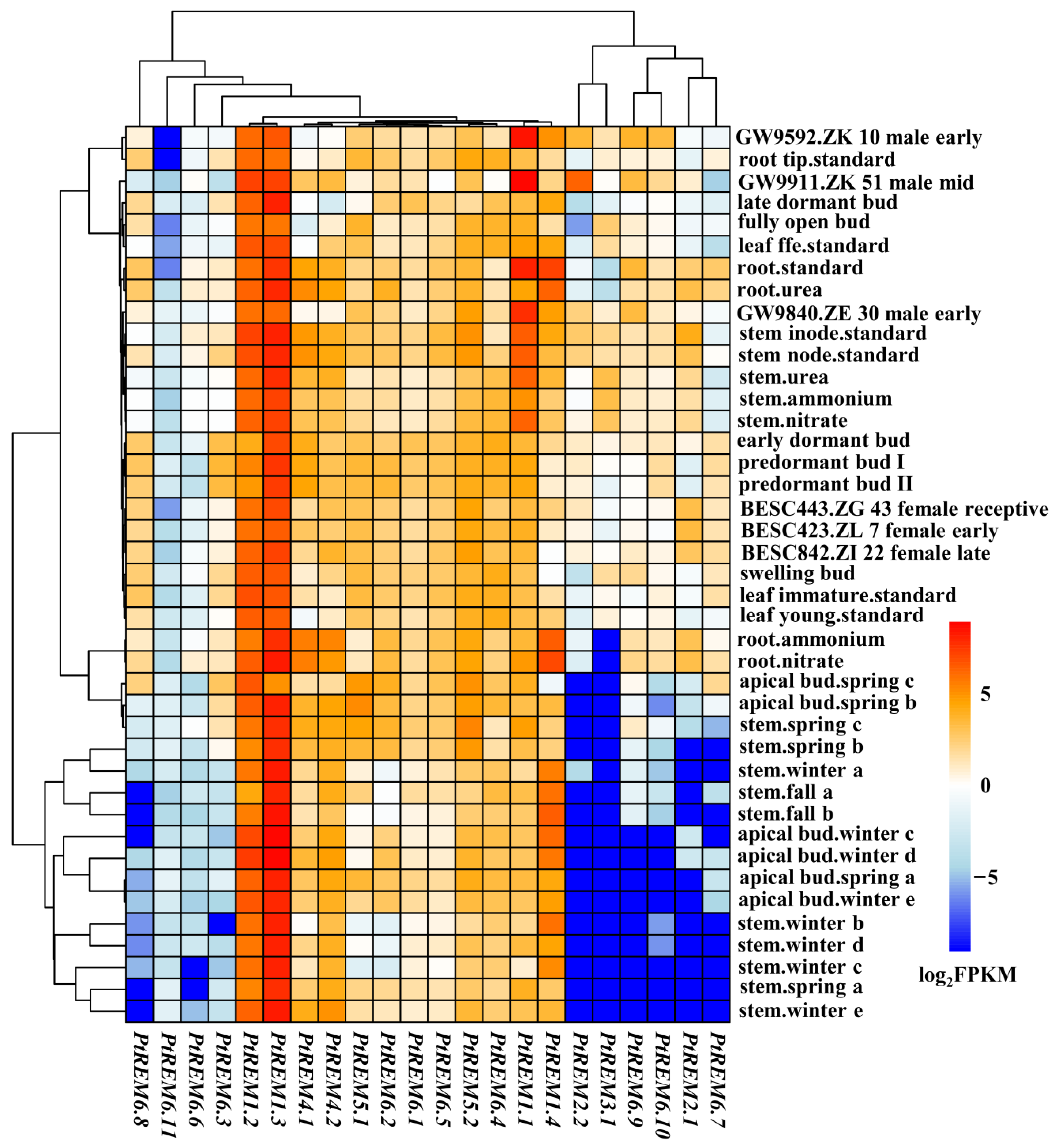 Life 14 01239 g004 Life 14 01239 g004