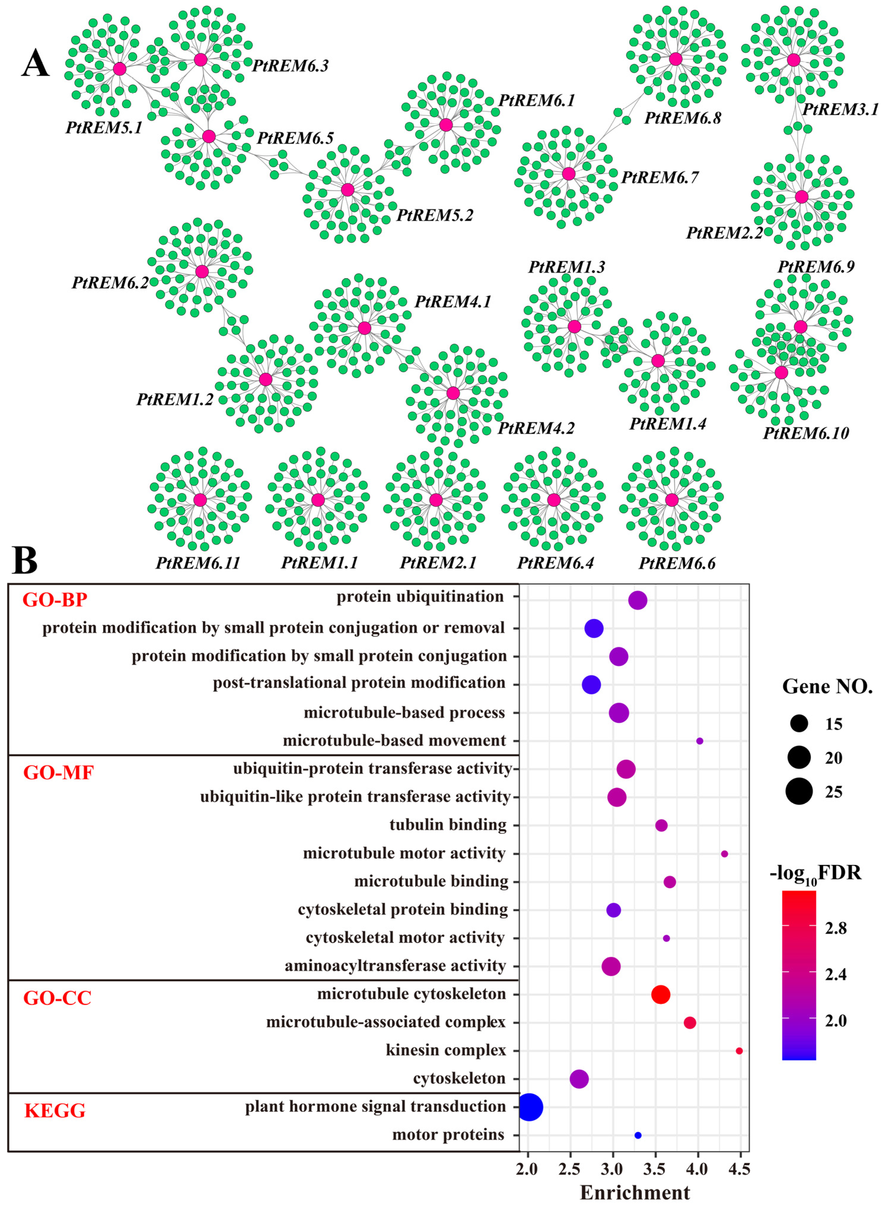 Life 14 01239 g006 Life 14 01239 g006