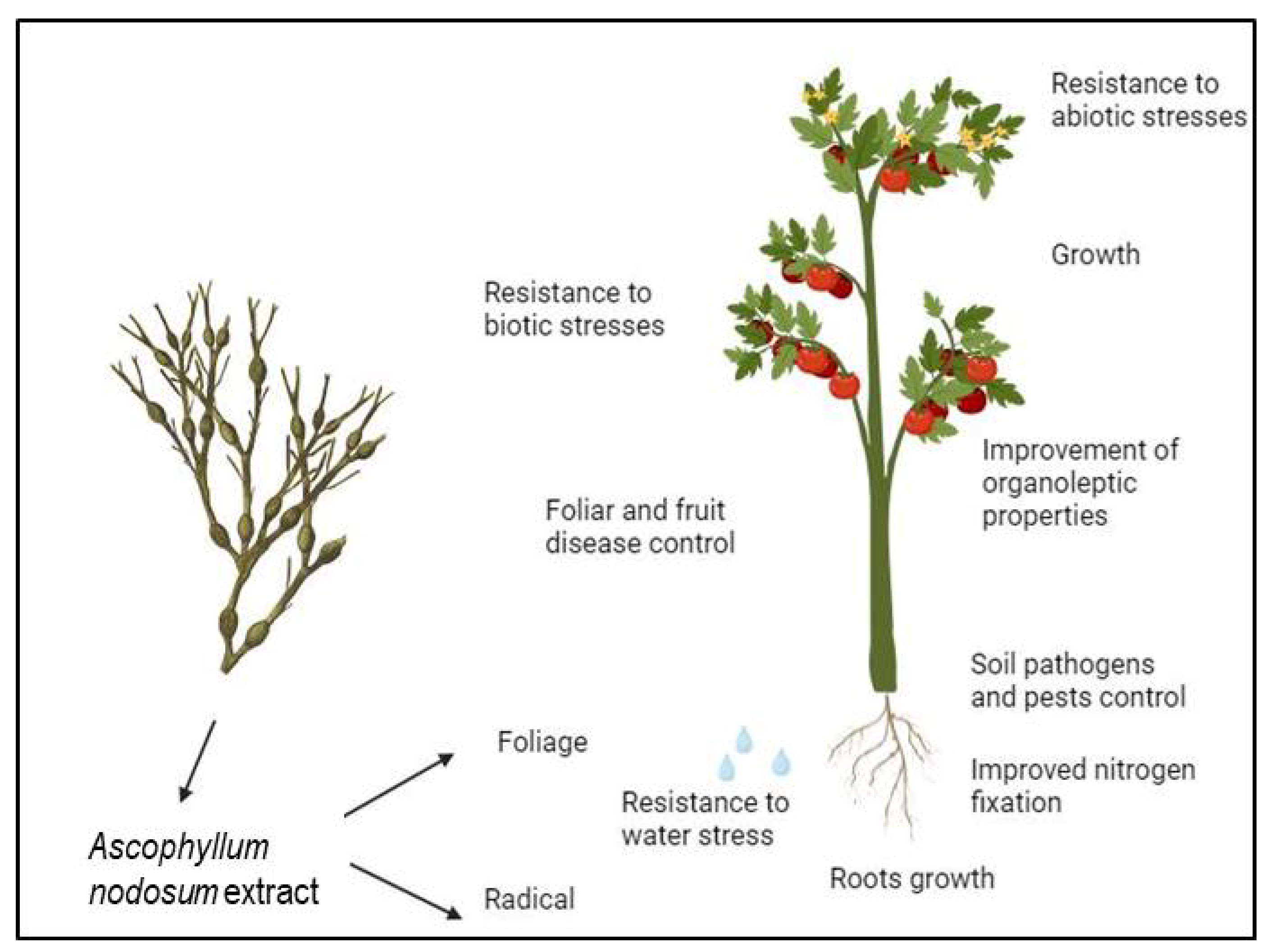 Life 14 01263 g001 Life 14 01263 g001