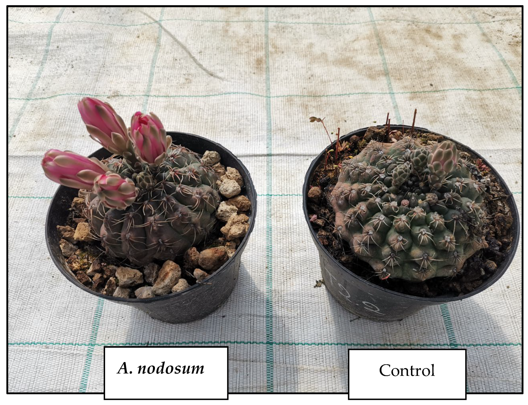 Life 14 01263 g002 Life 14 01263 g002