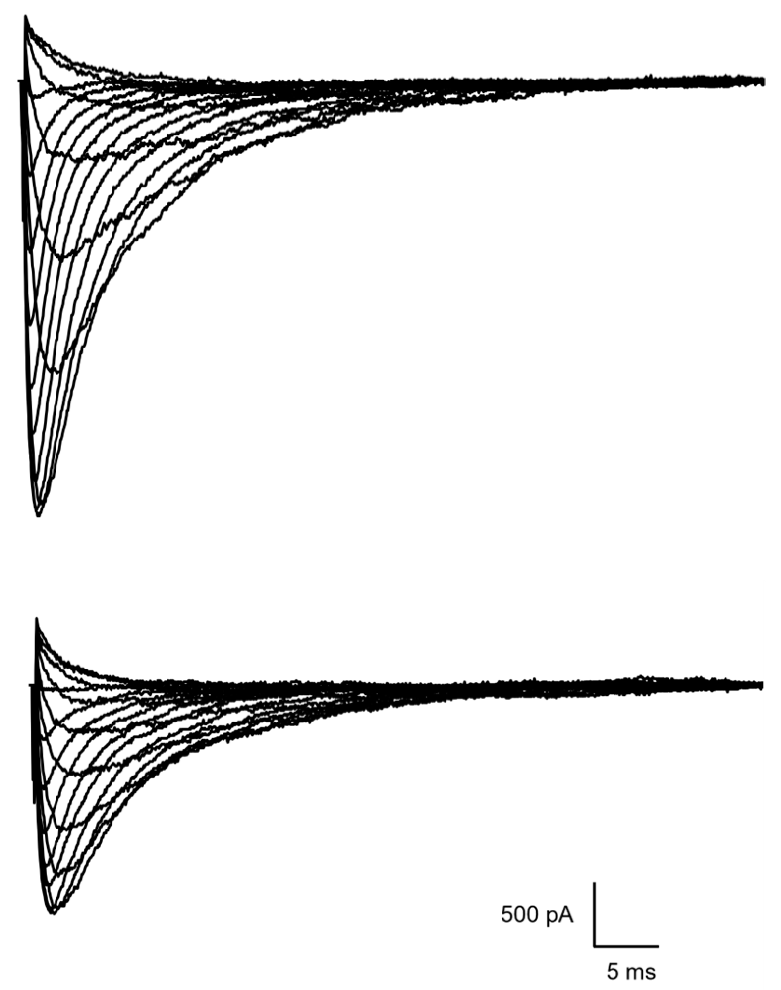 Life 14 01337 g002 Life 14 01337 g002