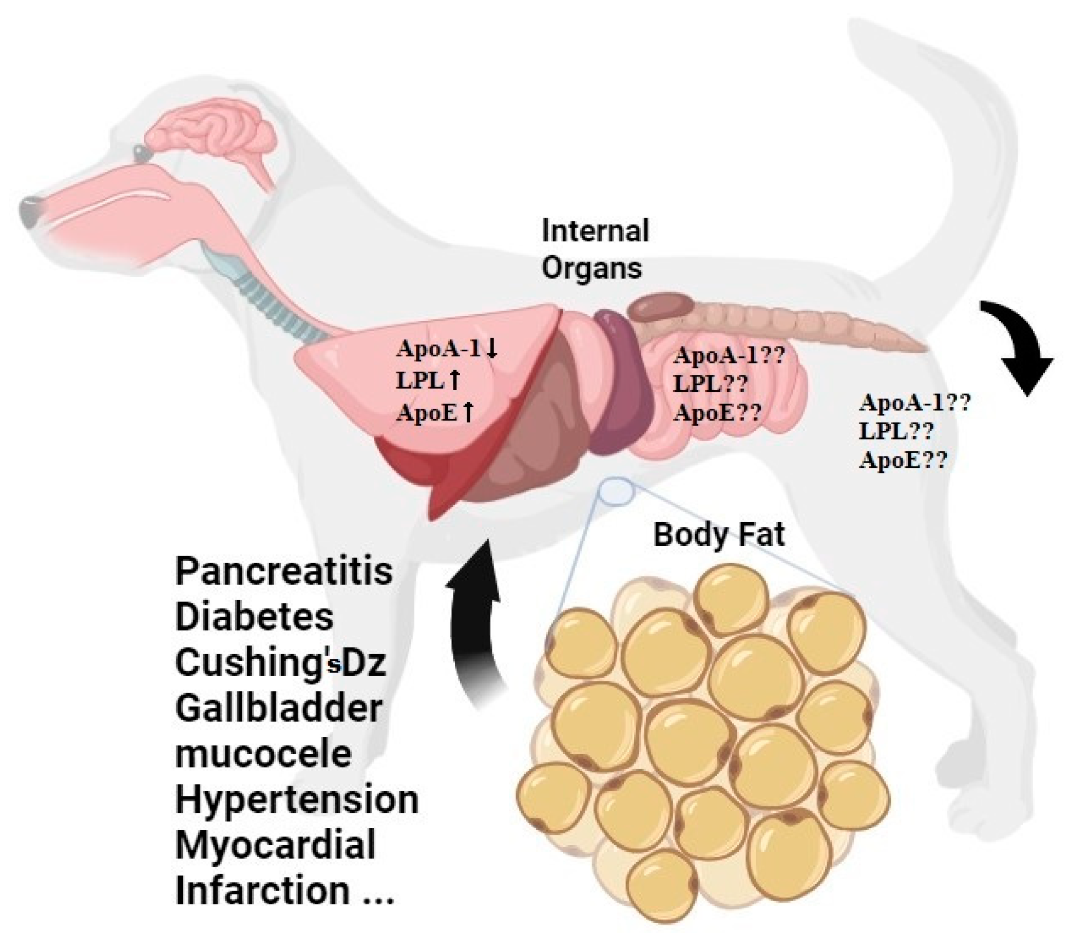 Life 14 01441 g002 Life 14 01441 g002