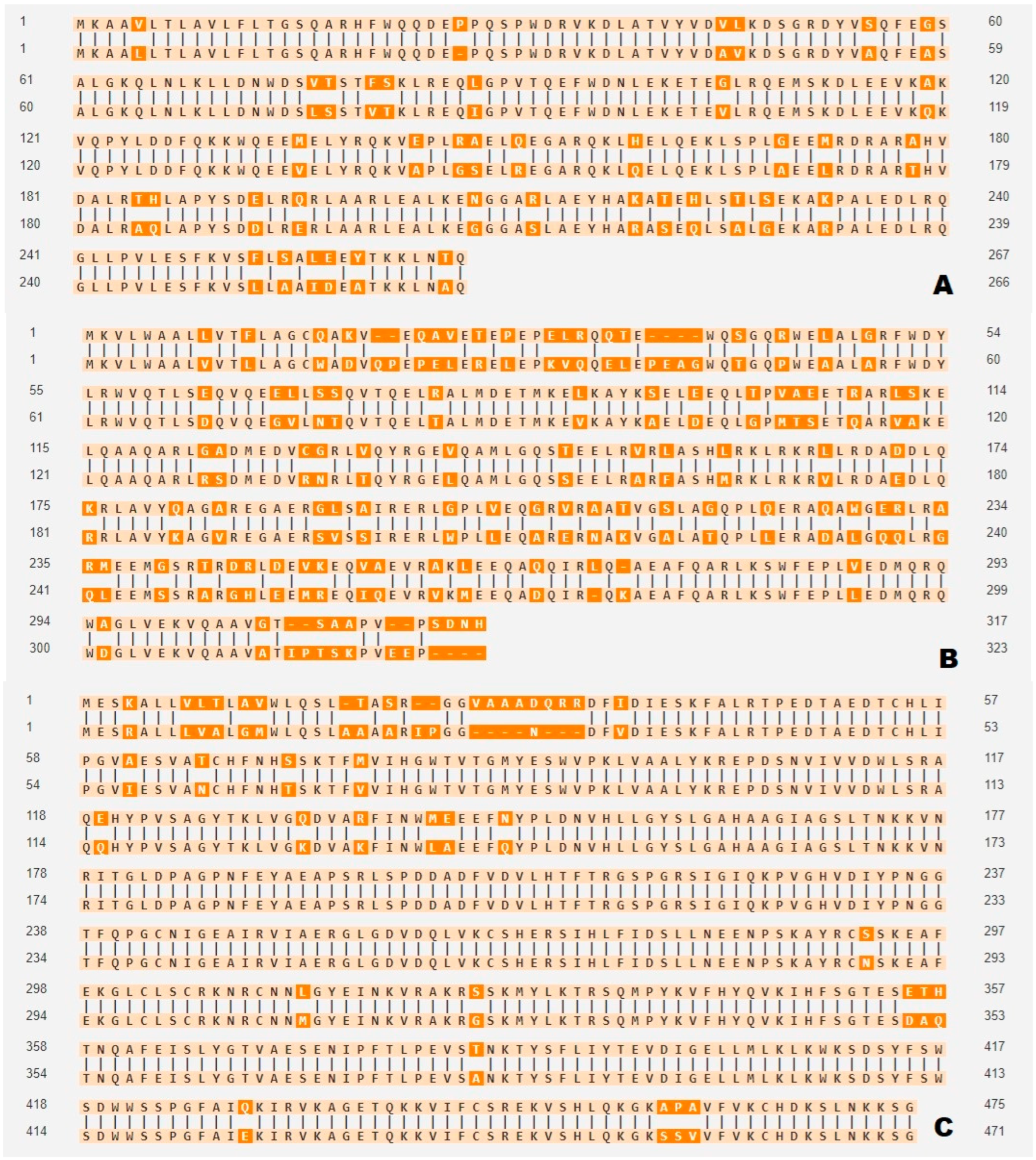 Life 14 01441 g003 Life 14 01441 g003