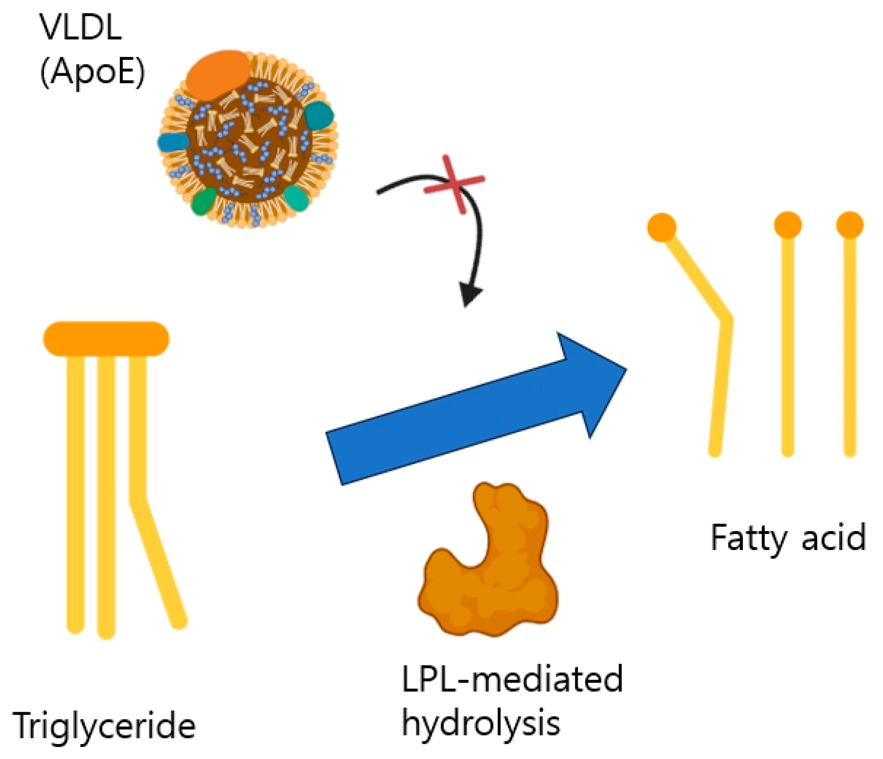 Life 14 01441 g004 Life 14 01441 g004