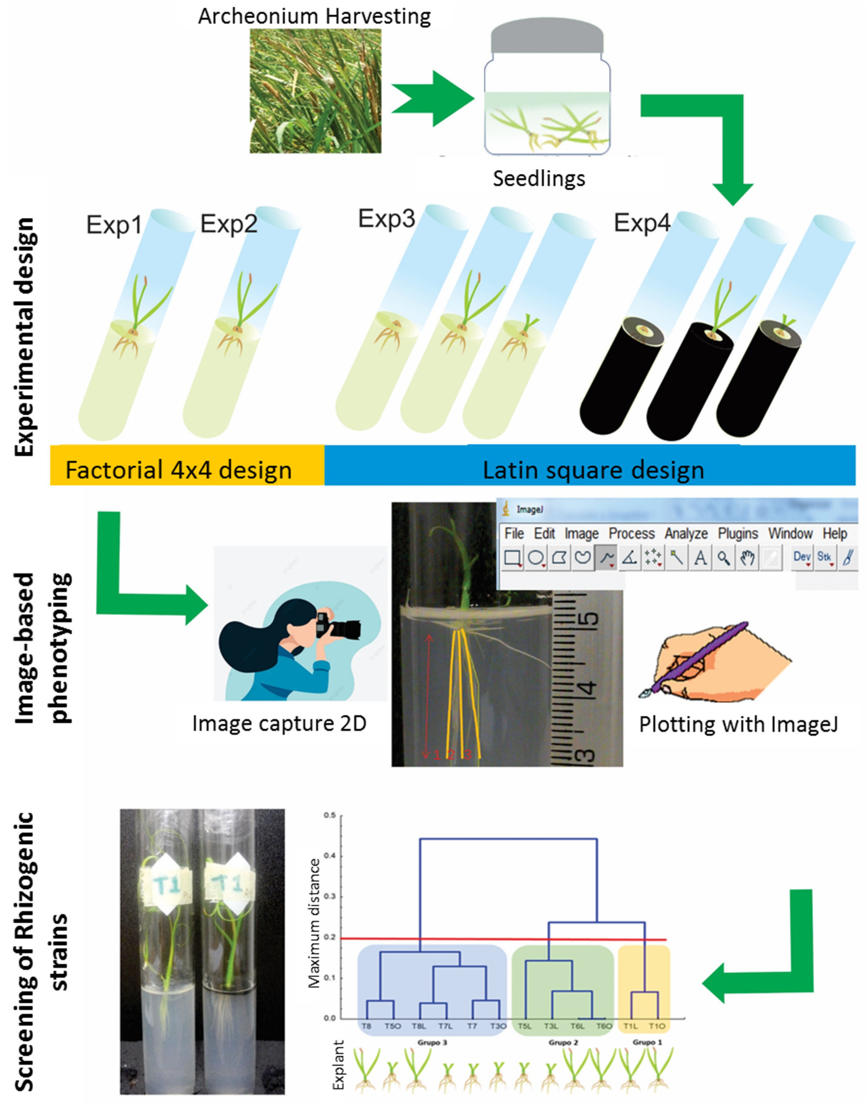 Life 15 00121 g002 Life 15 00121 g002