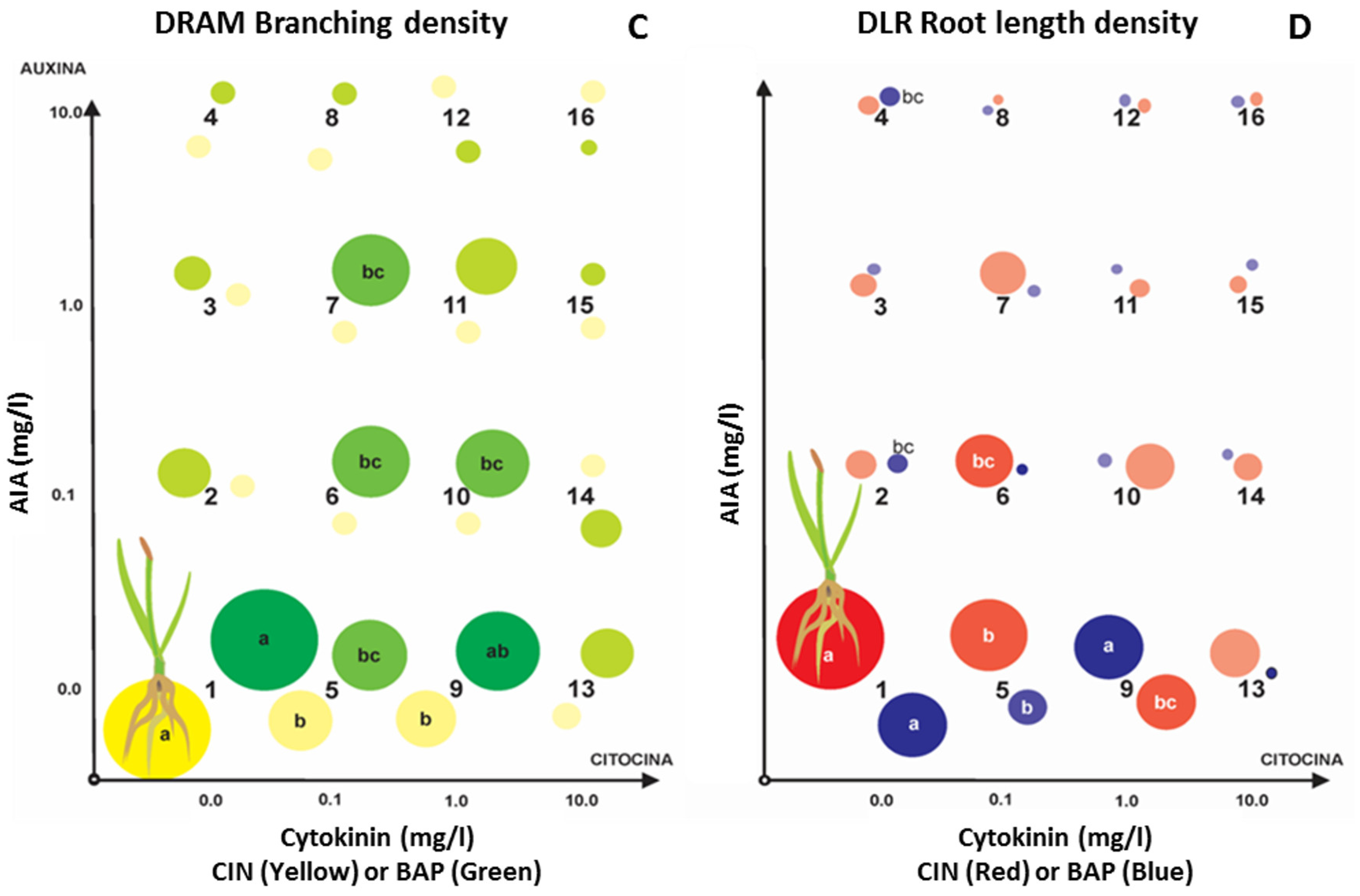 Life 15 00121 g005b Life 15 00121 g005b