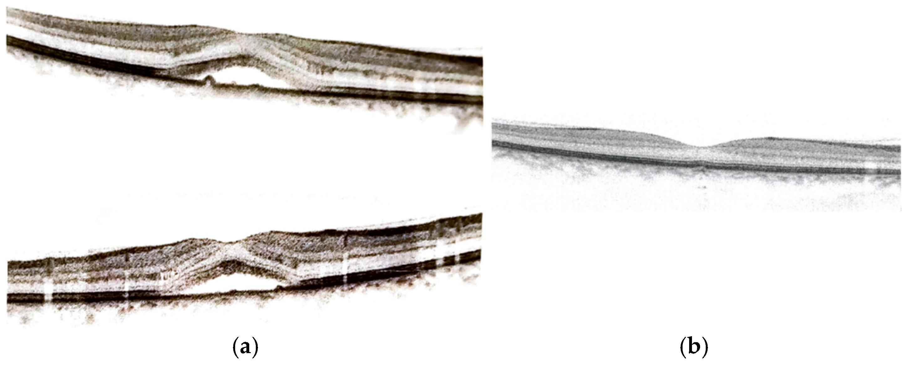 Life 15 00144 g002 Life 15 00144 g002