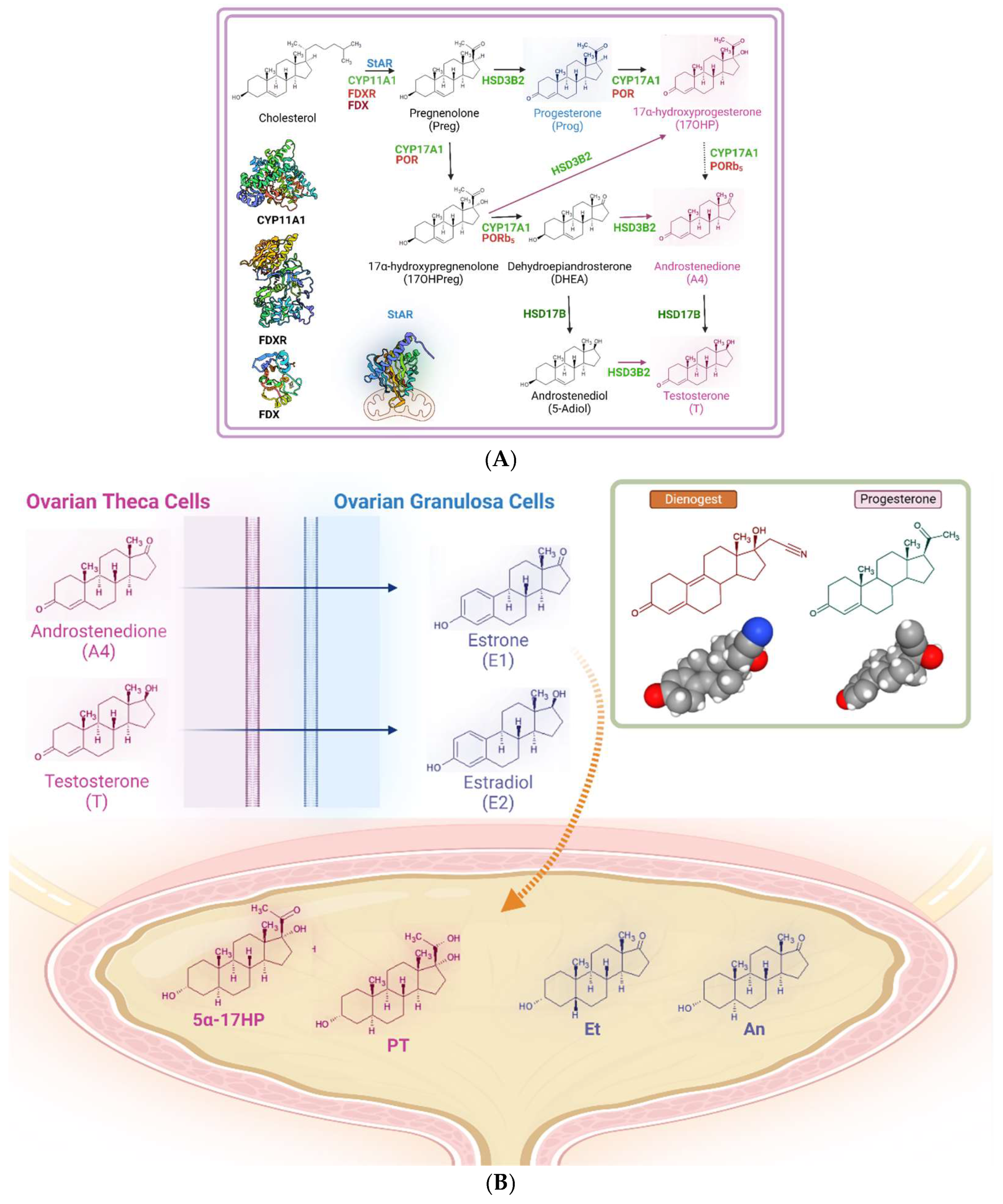 Life 15 00144 g003 Life 15 00144 g003