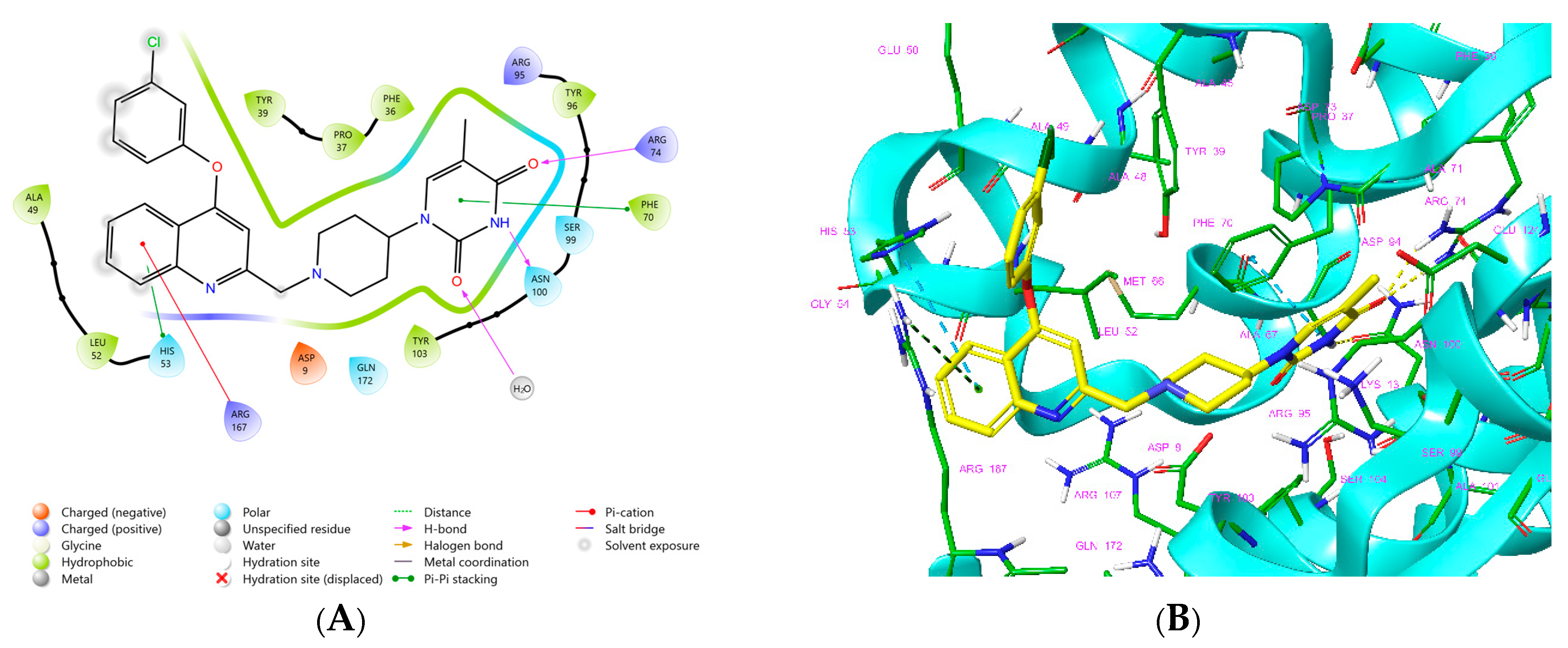 Life 15 00173 g001a Life 15 00173 g001a