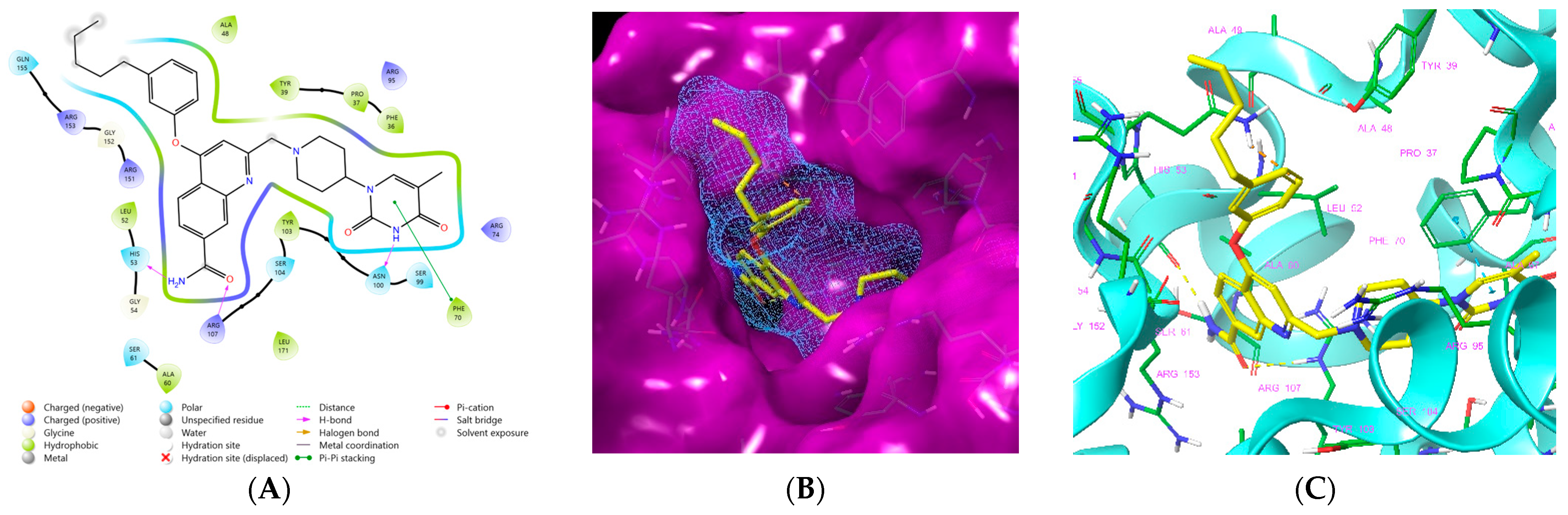 Life 15 00173 g004 Life 15 00173 g004