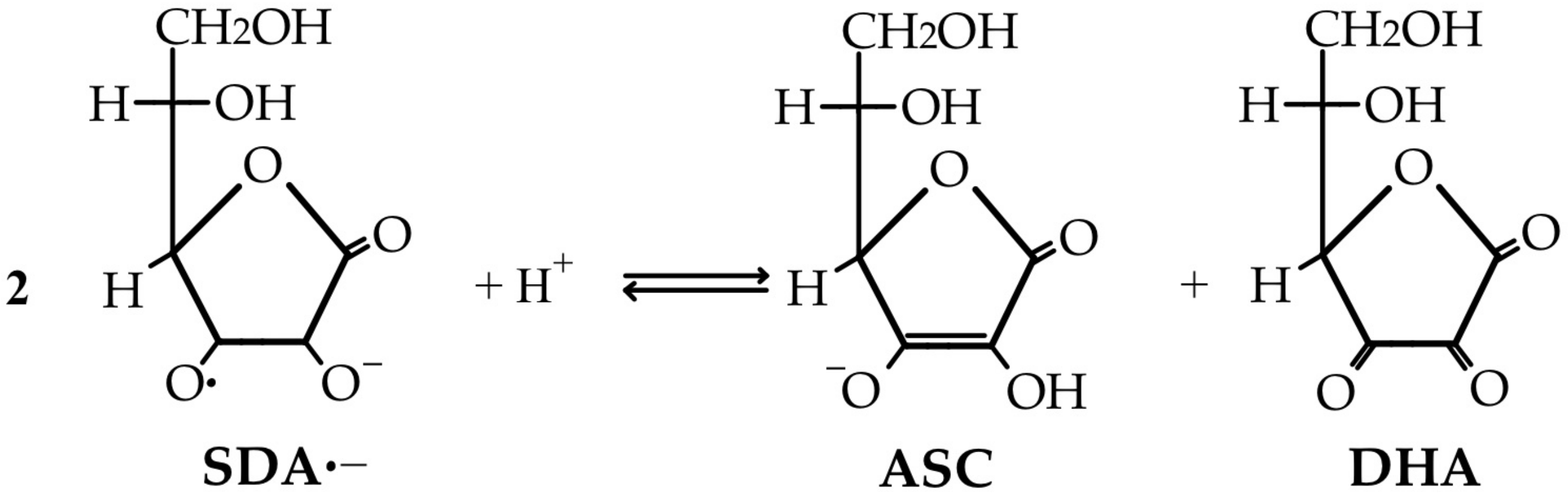 Life 15 00238 g002 Life 15 00238 g002