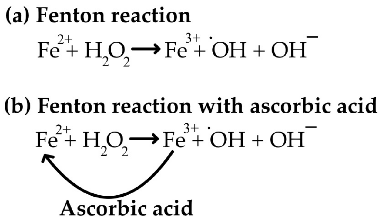 Life 15 00238 g005 Life 15 00238 g005