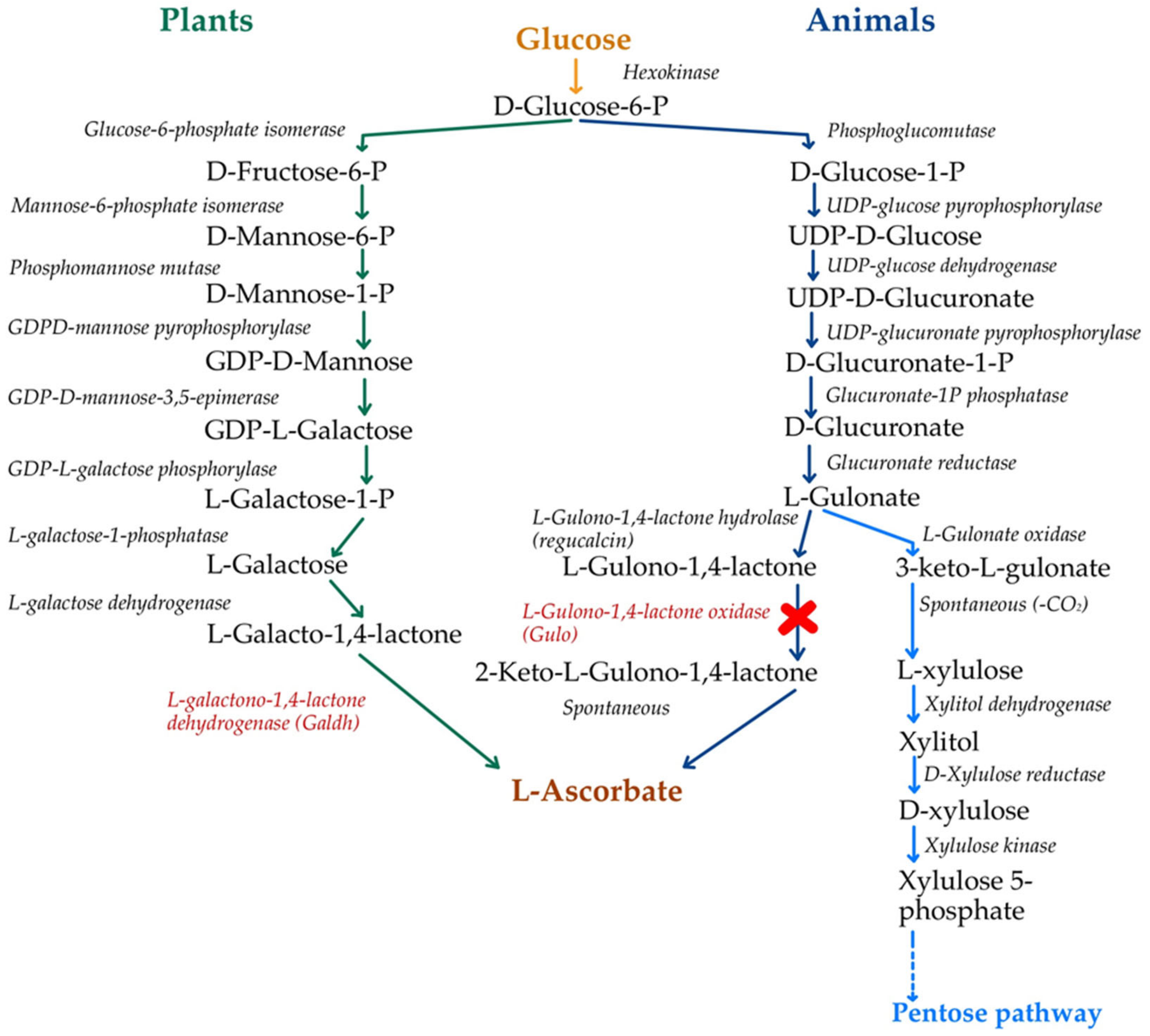 Life 15 00238 g006 Life 15 00238 g006