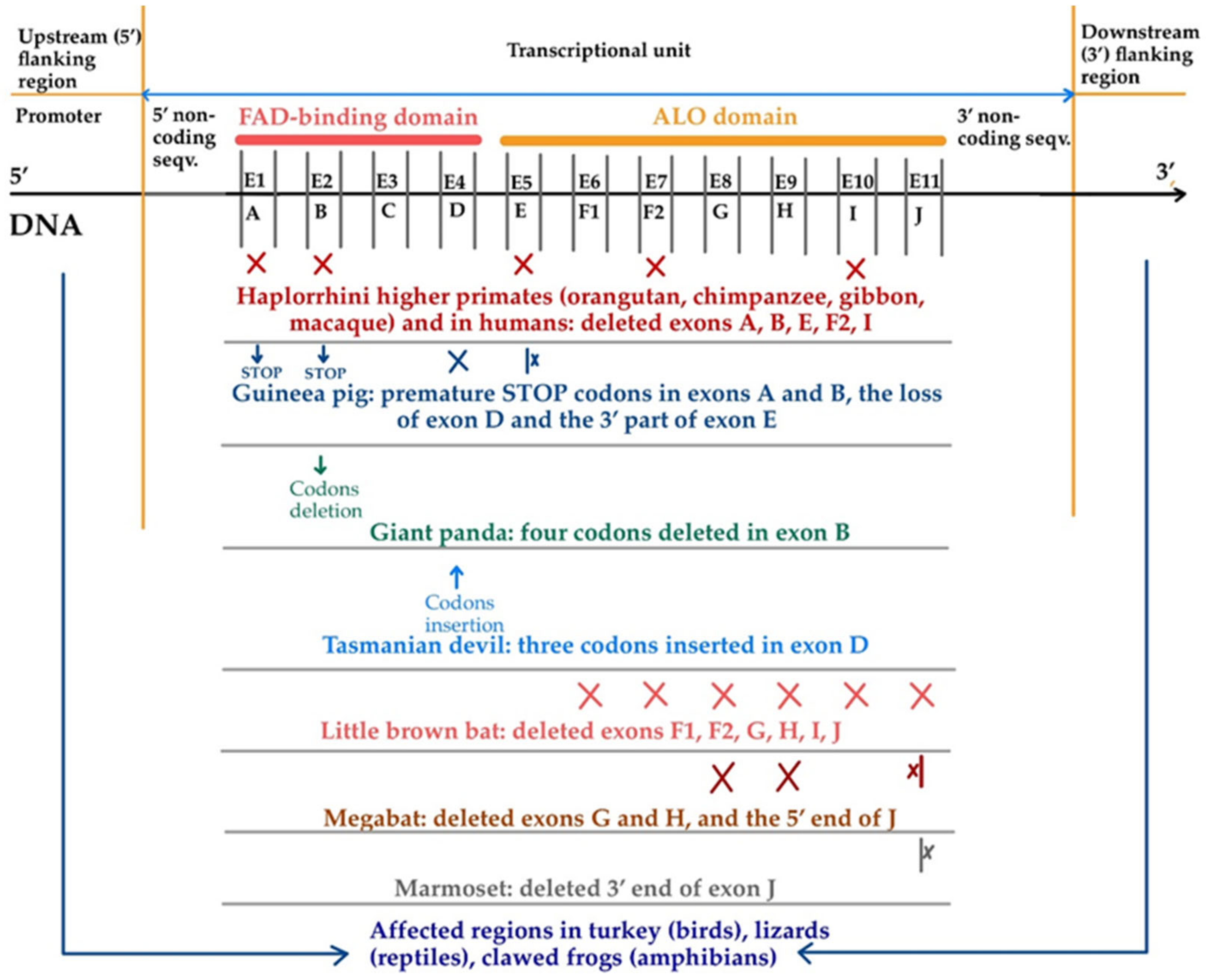 Life 15 00238 g009 Life 15 00238 g009