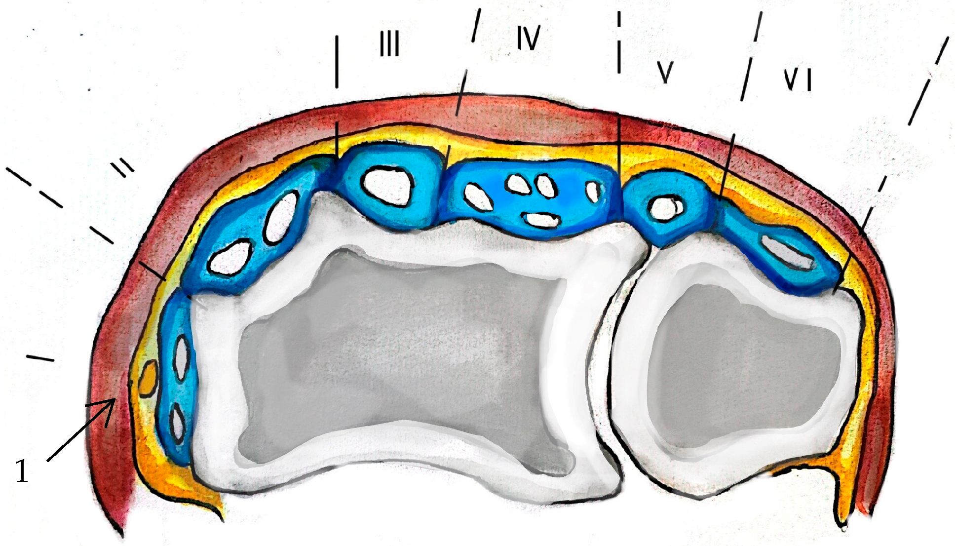 Life 15 00273 g002 Life 15 00273 g002