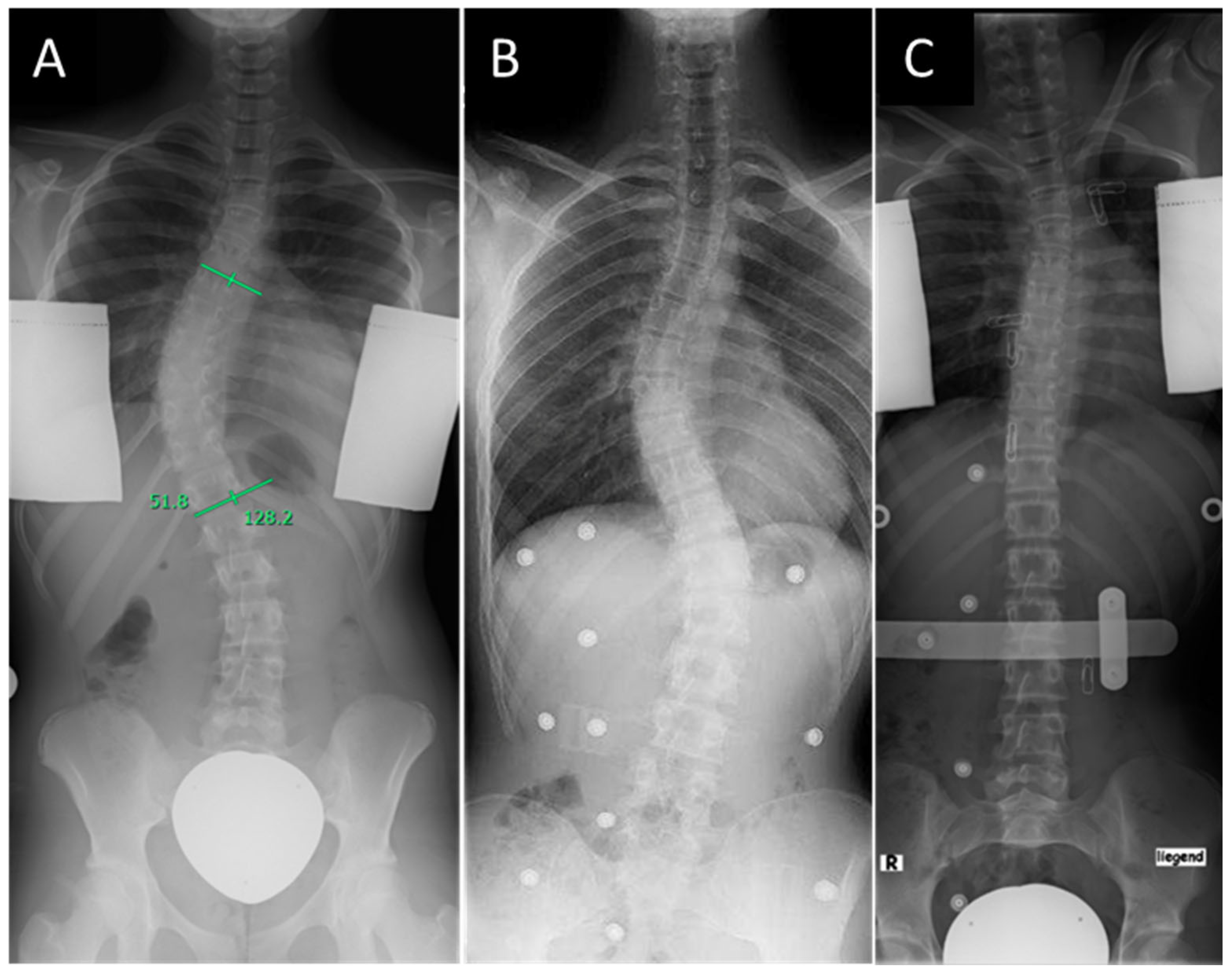 Life 15 00448 g001 Life 15 00448 g001