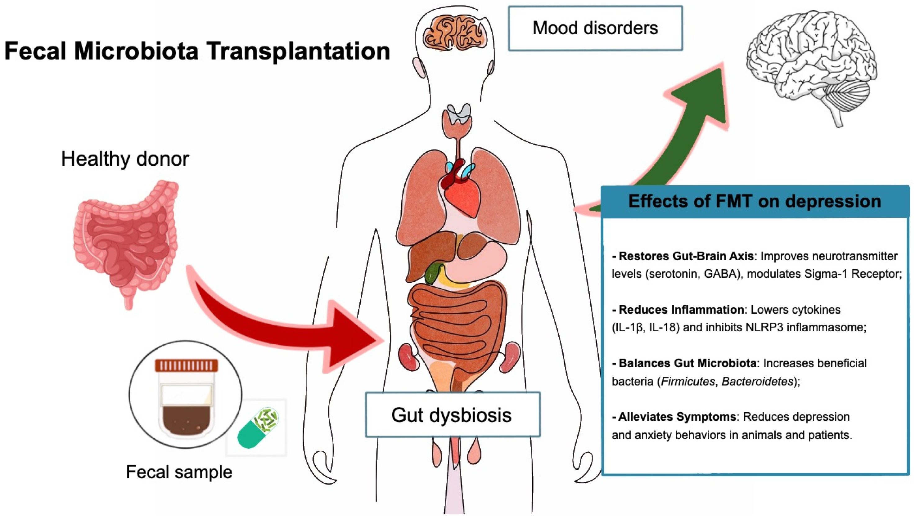 Life 15 00593 g002 Life 15 00593 g002