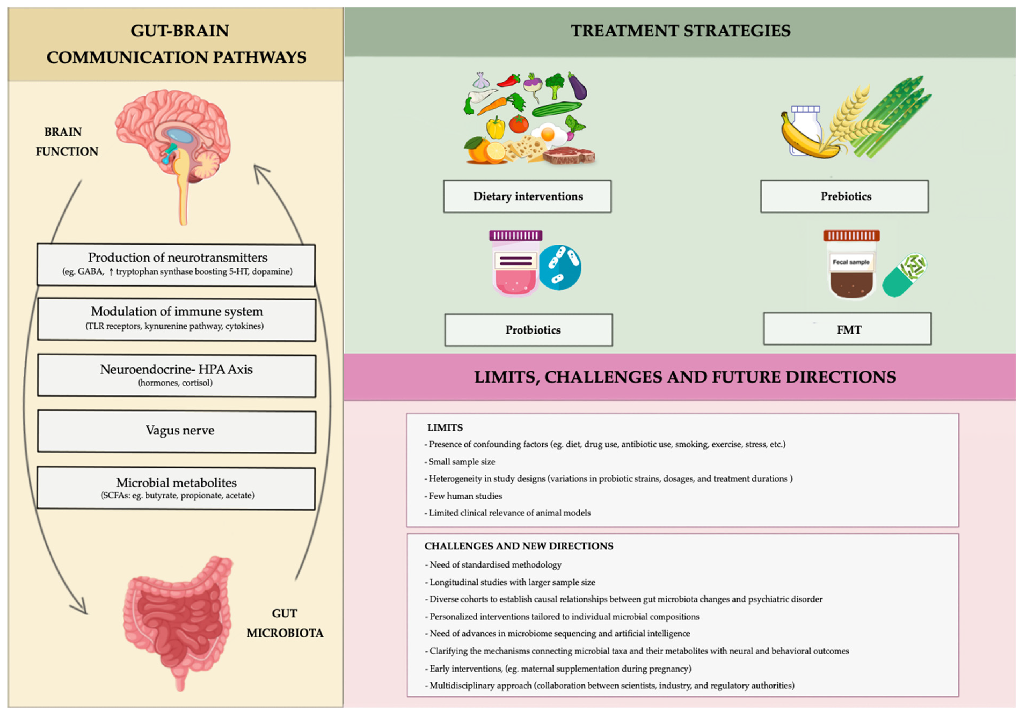 Life 15 00593 g003 Life 15 00593 g003