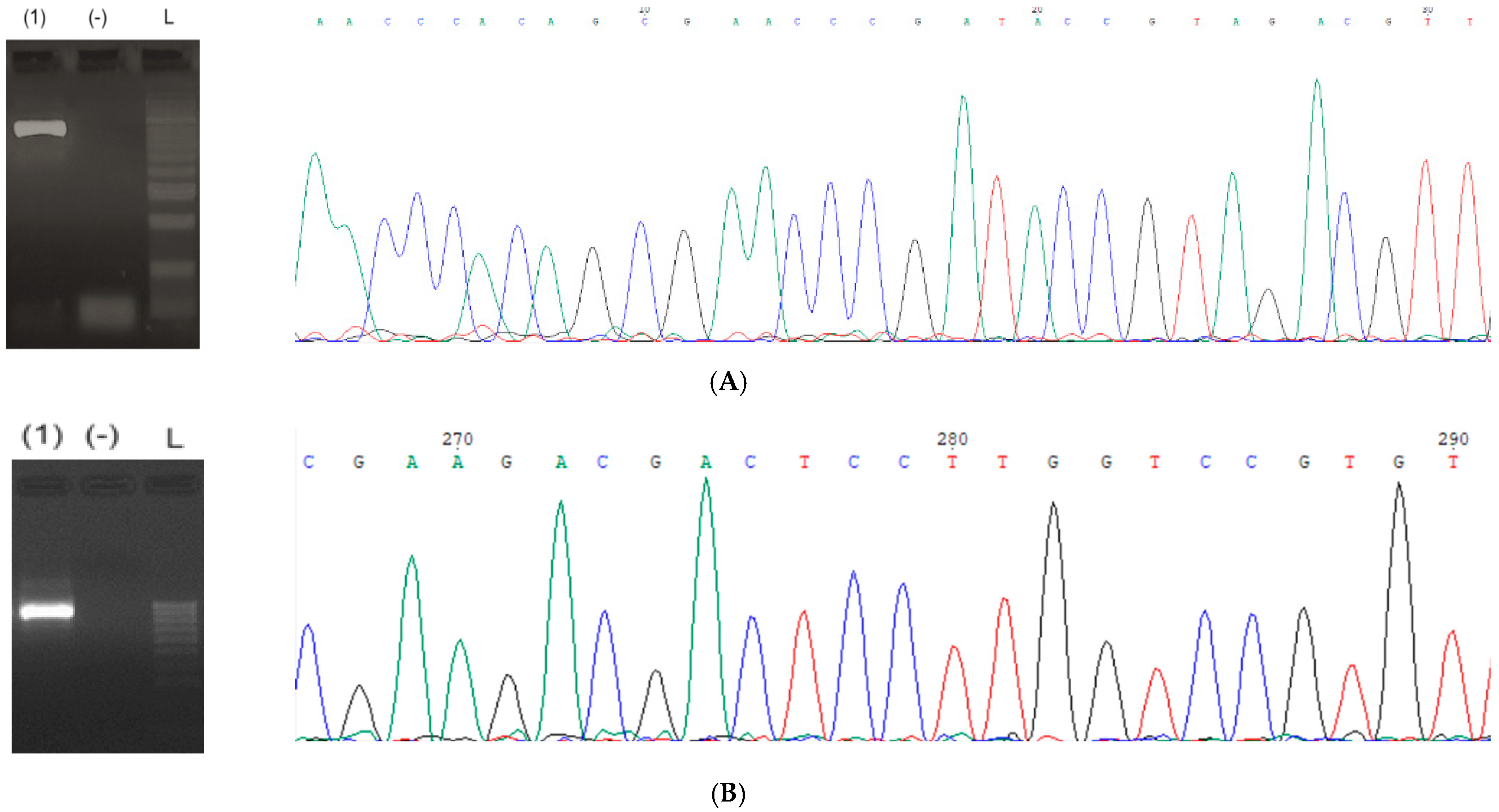 Life 15 00644 g002 Life 15 00644 g002