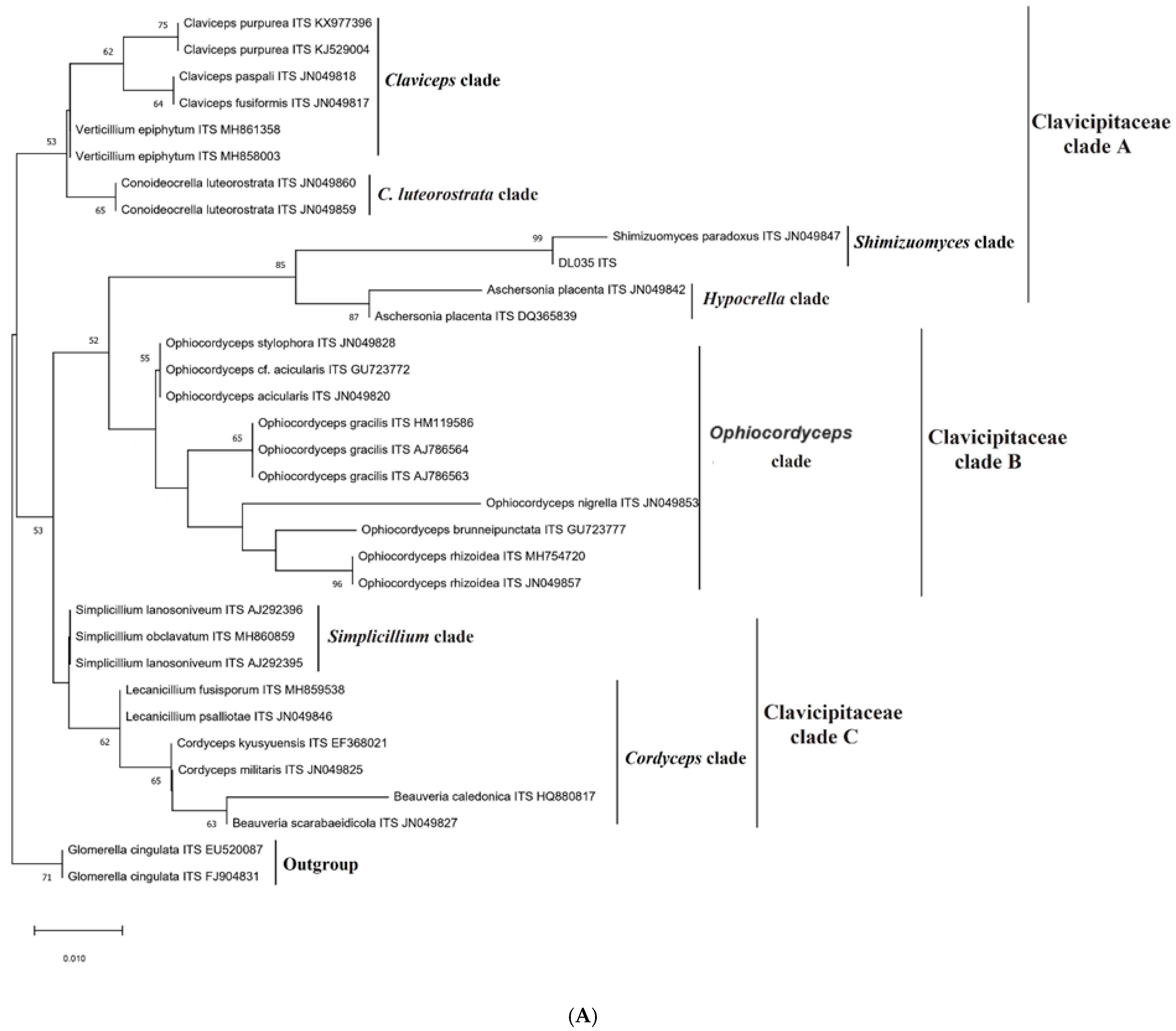 Life 15 00644 g003a Life 15 00644 g003a