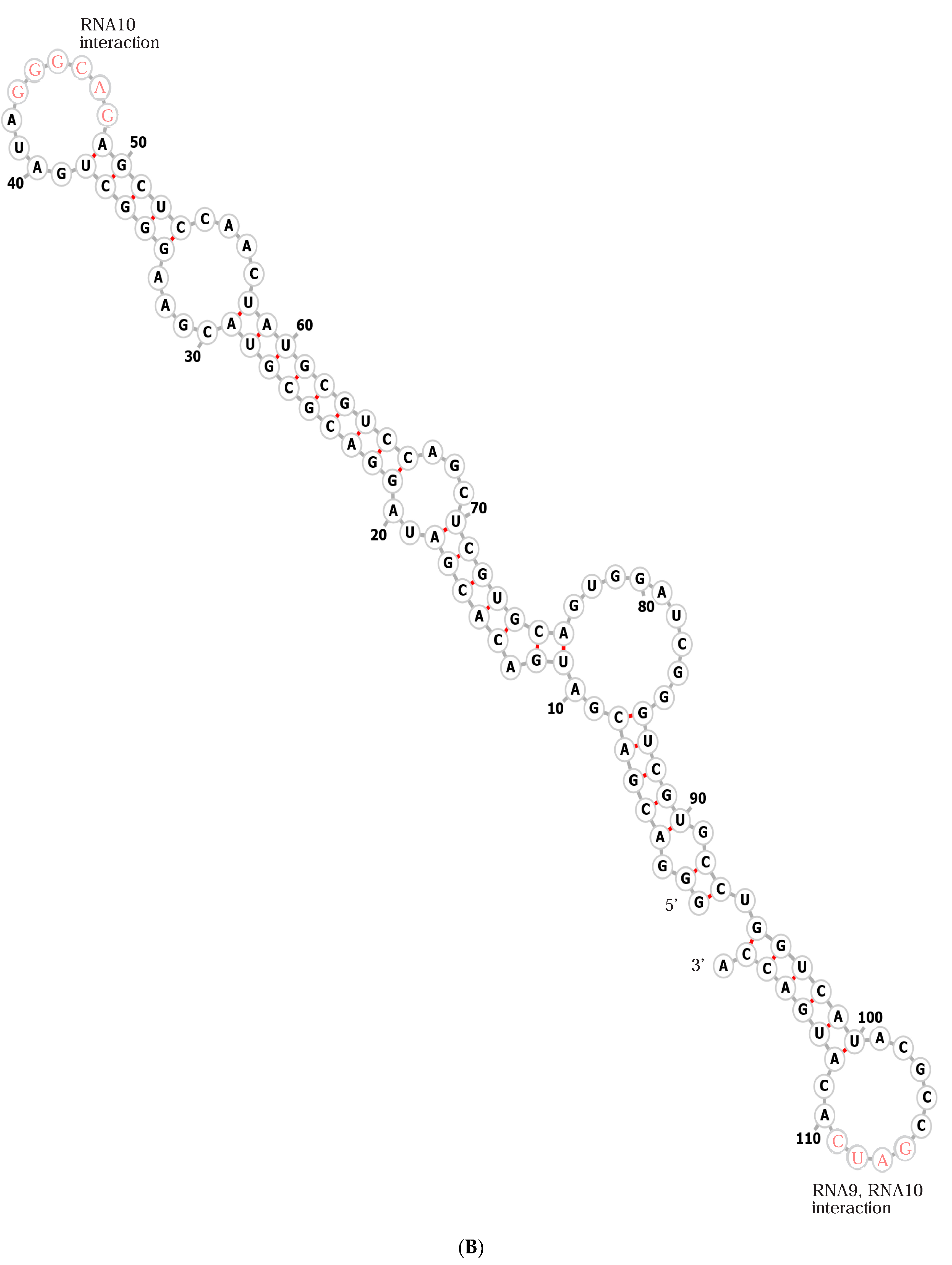Life 15 00692 g002b Life 15 00692 g002b