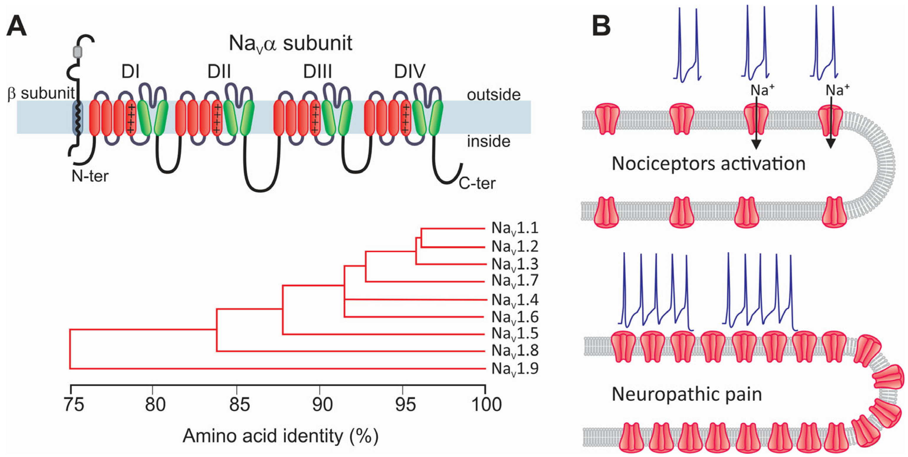 Life 15 00888 g002 Life 15 00888 g002