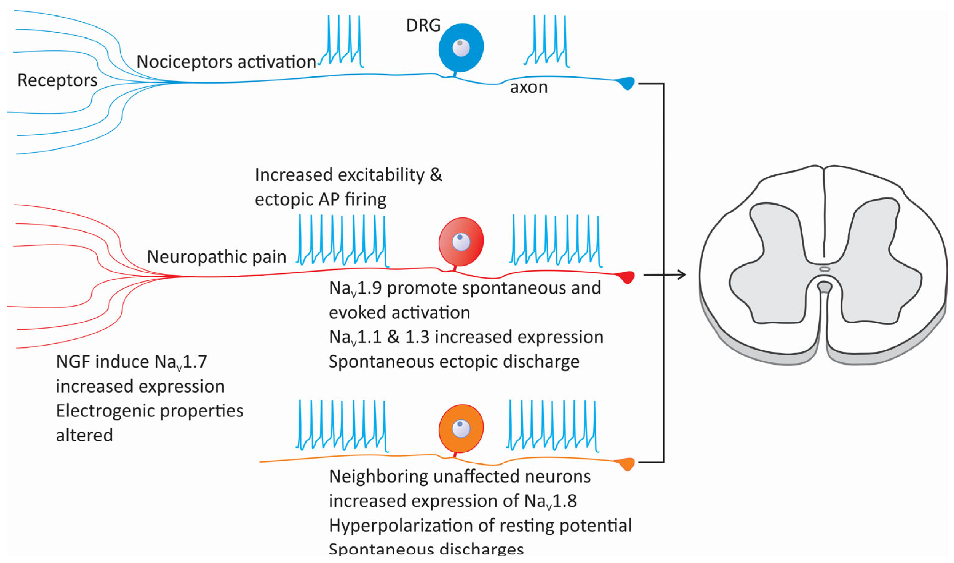 Life 15 00888 g003 Life 15 00888 g003