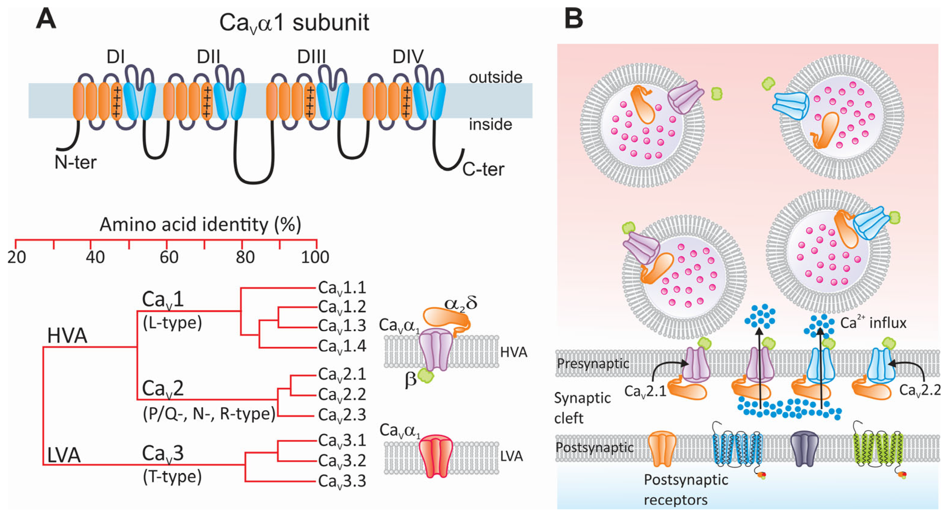 Life 15 00888 g004 Life 15 00888 g004
