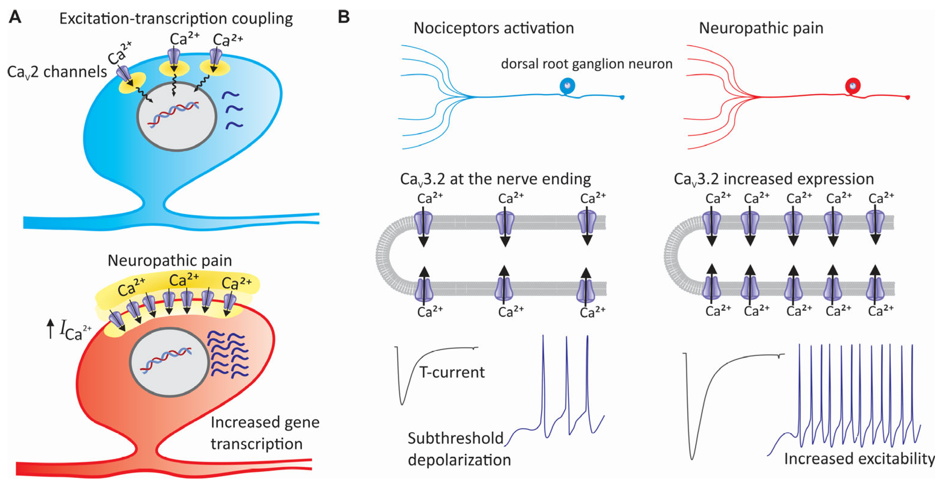 Life 15 00888 g005 Life 15 00888 g005
