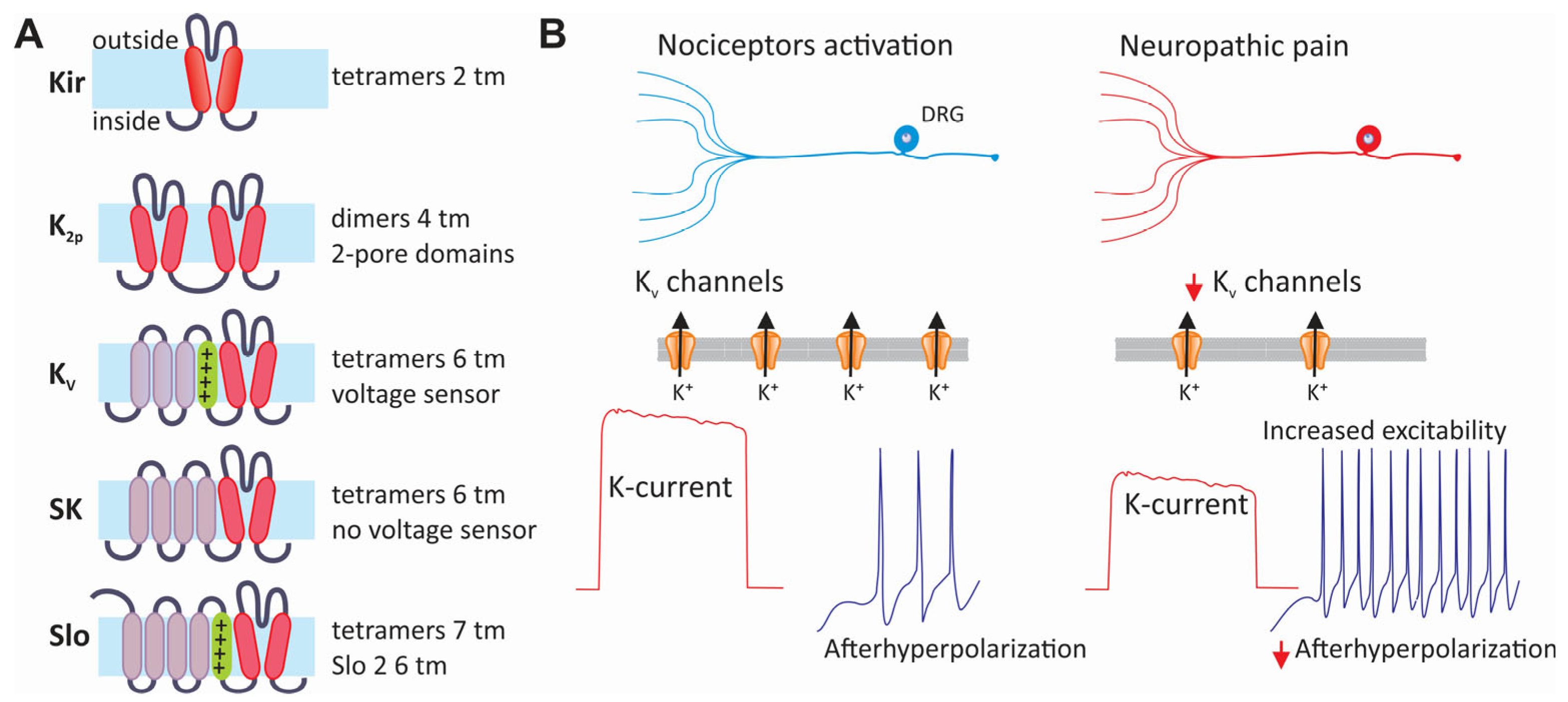 Life 15 00888 g006 Life 15 00888 g006