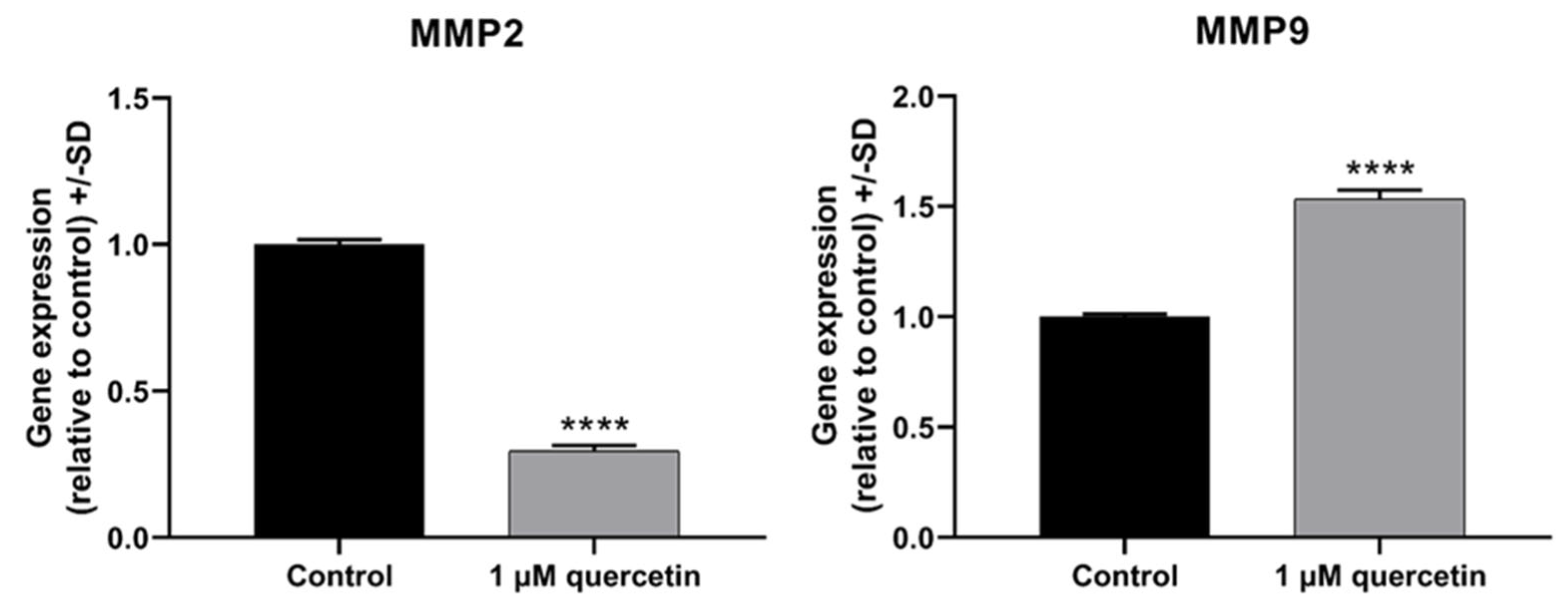 Life 15 00979 g003 Life 15 00979 g003