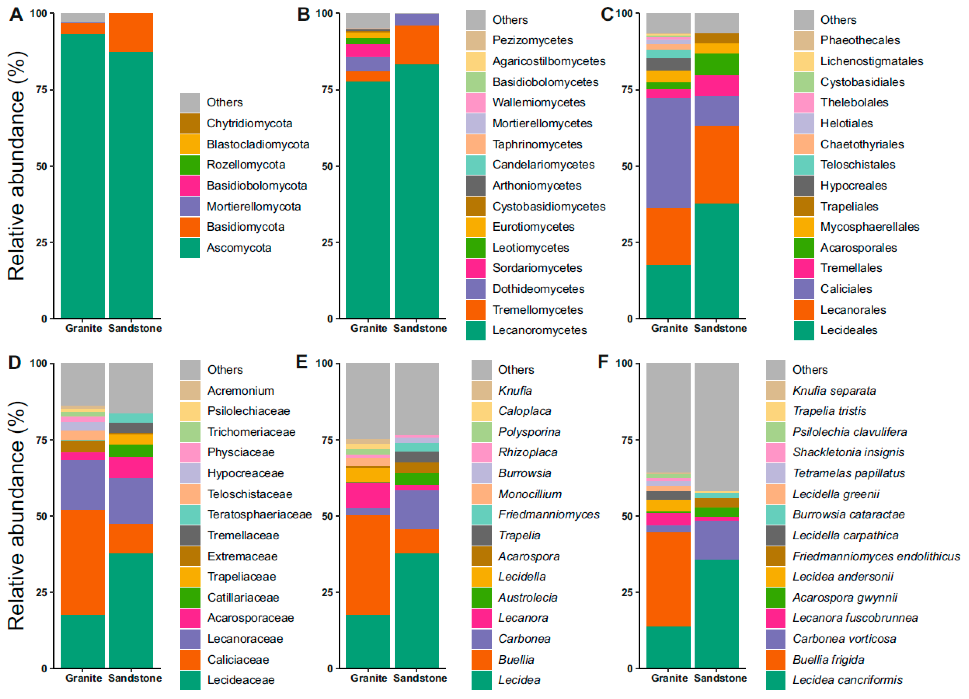 Life 15 01028 g002 Life 15 01028 g002