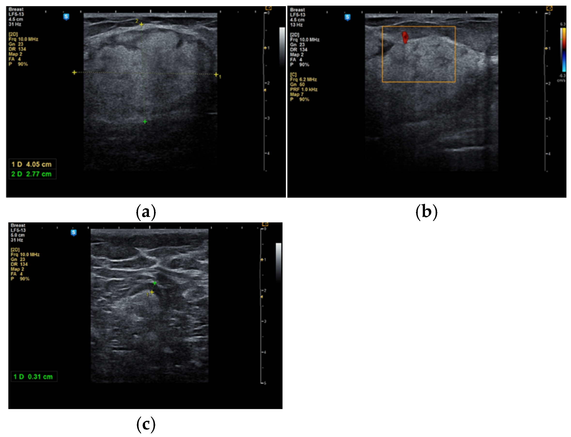 Life 15 01076 g003 Life 15 01076 g003