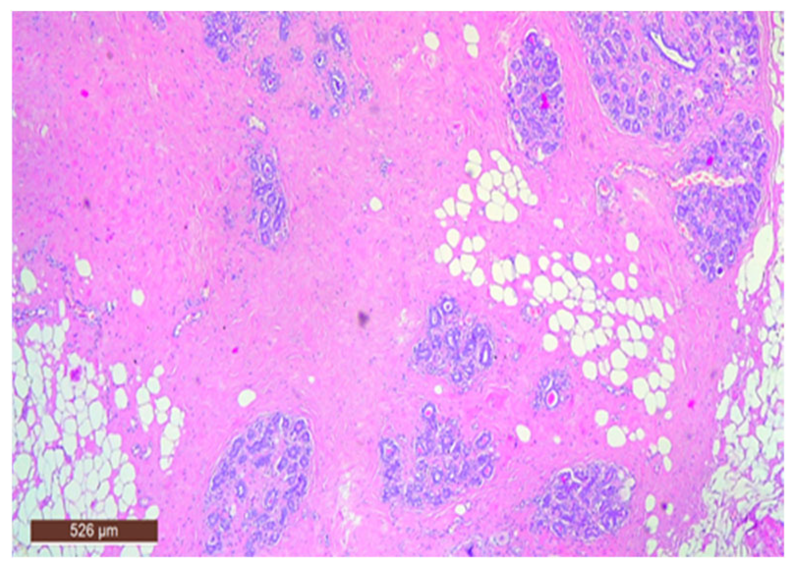 Life 15 01076 g007 Life 15 01076 g007