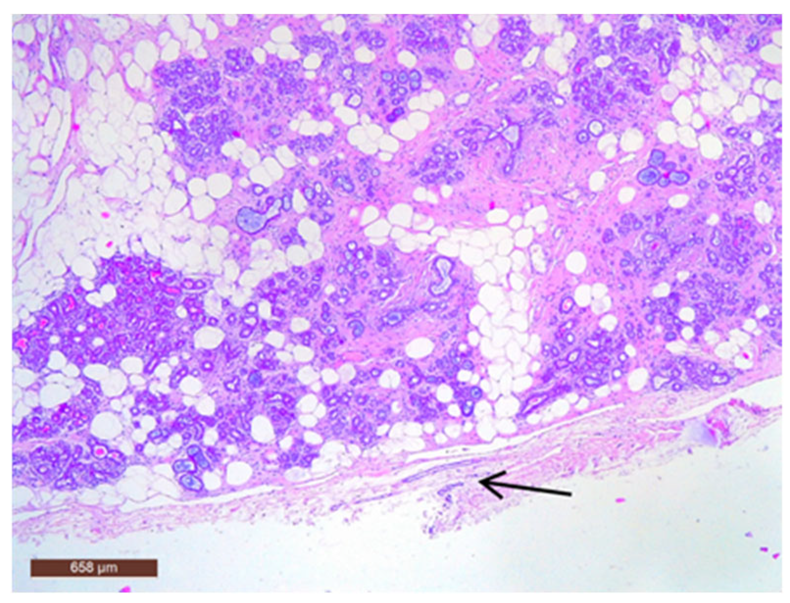 Life 15 01076 g008 Life 15 01076 g008