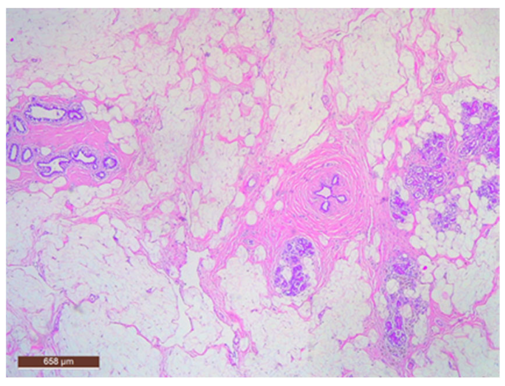 Life 15 01076 g011 Life 15 01076 g011