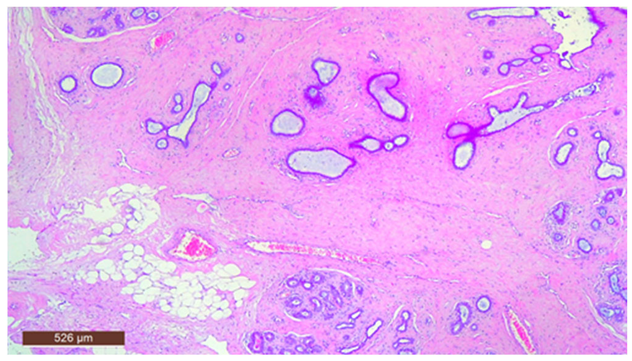 Life 15 01076 g012 Life 15 01076 g012