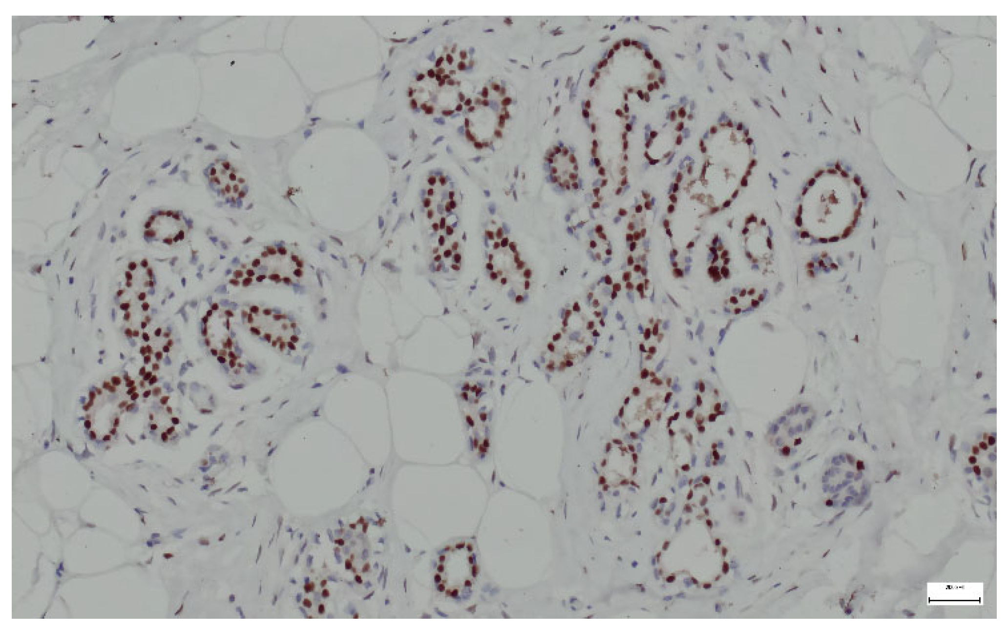 Life 15 01076 g013 Life 15 01076 g013