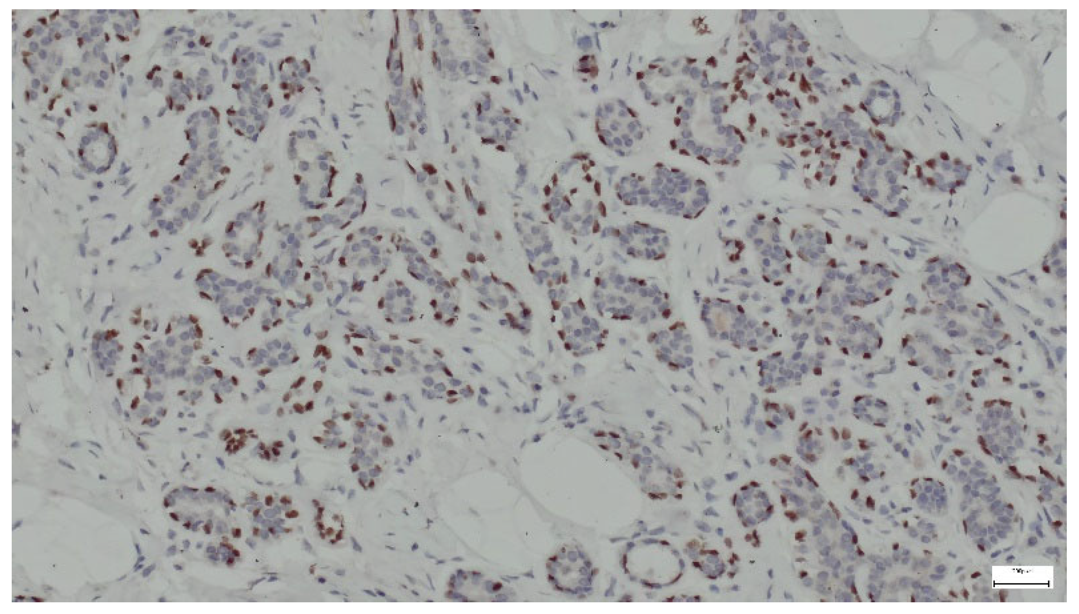 Life 15 01076 g015 Life 15 01076 g015