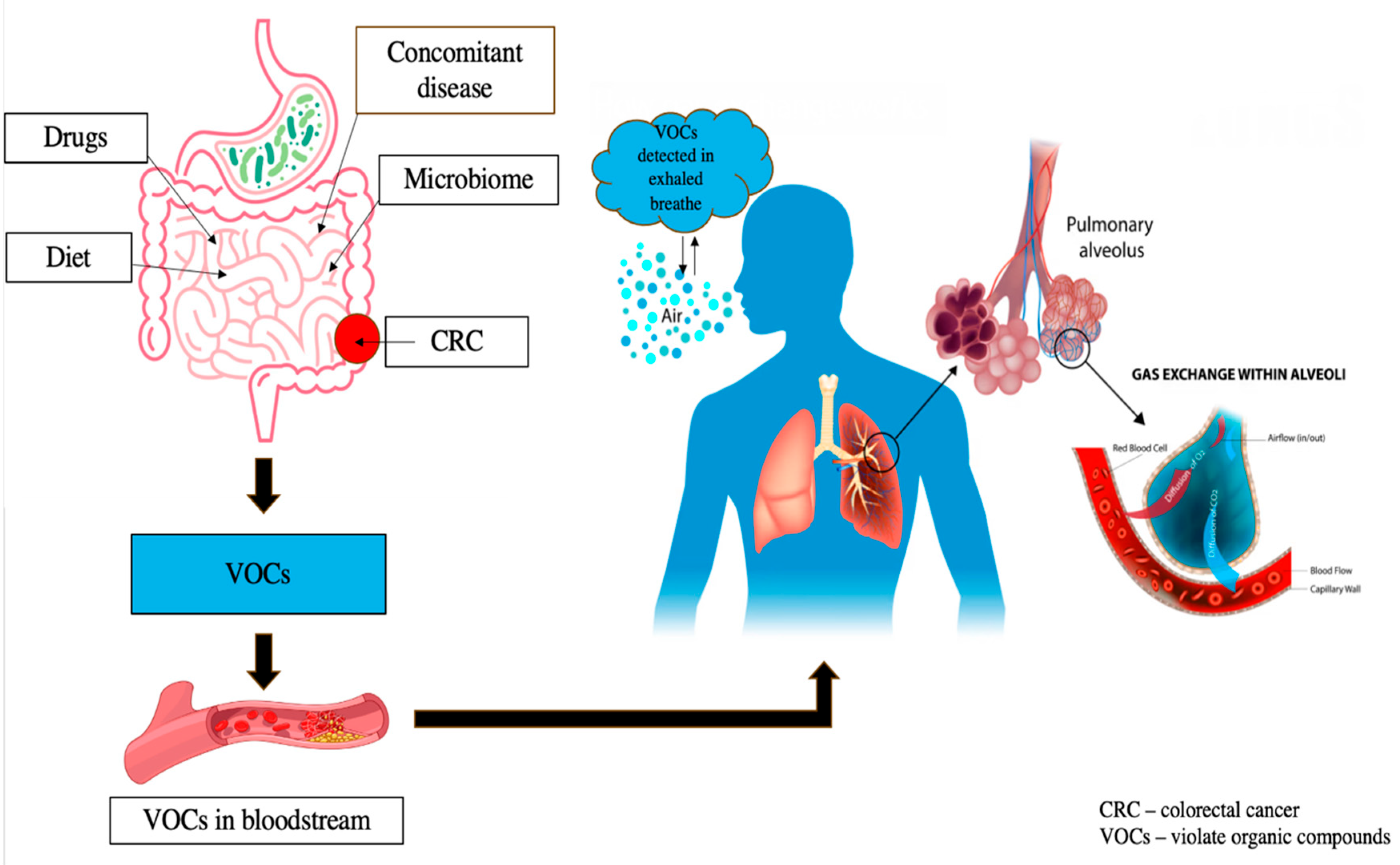 Life 15 01100 g003 Life 15 01100 g003