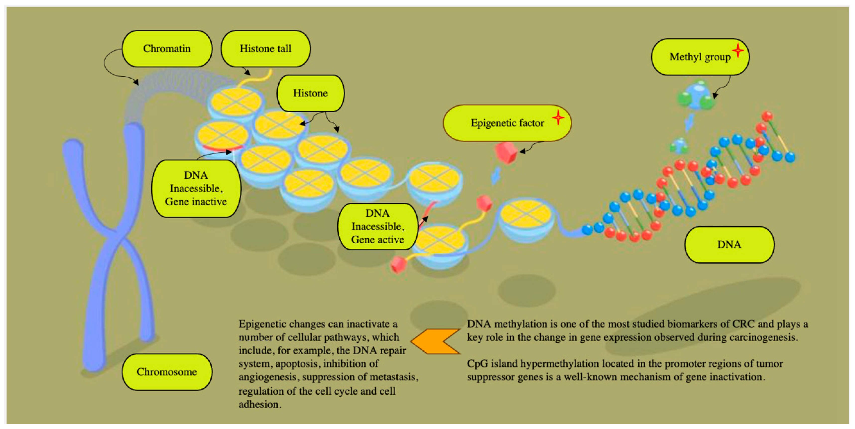Life 15 01100 g004 Life 15 01100 g004